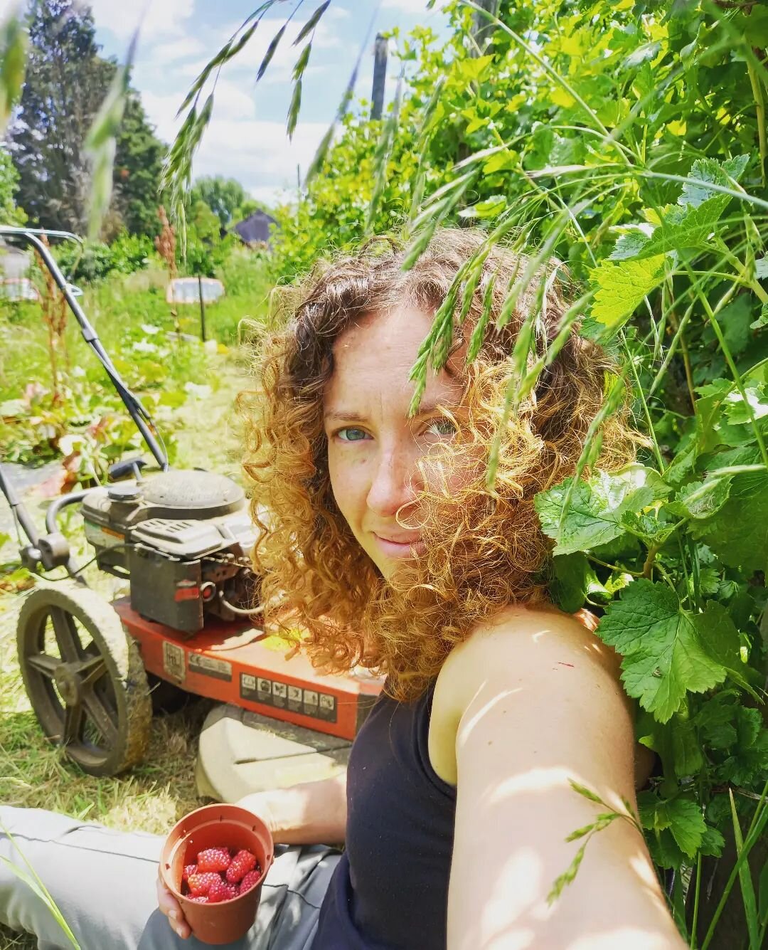 Safe to say my little field isn't looking as pretty as I hoped this year. I got off to a great start- then bam! My business is growing as fast as my jostaberry bushes &amp; I'm finding it hard to keep up! Not a bad problem to have really 😁

A moment
