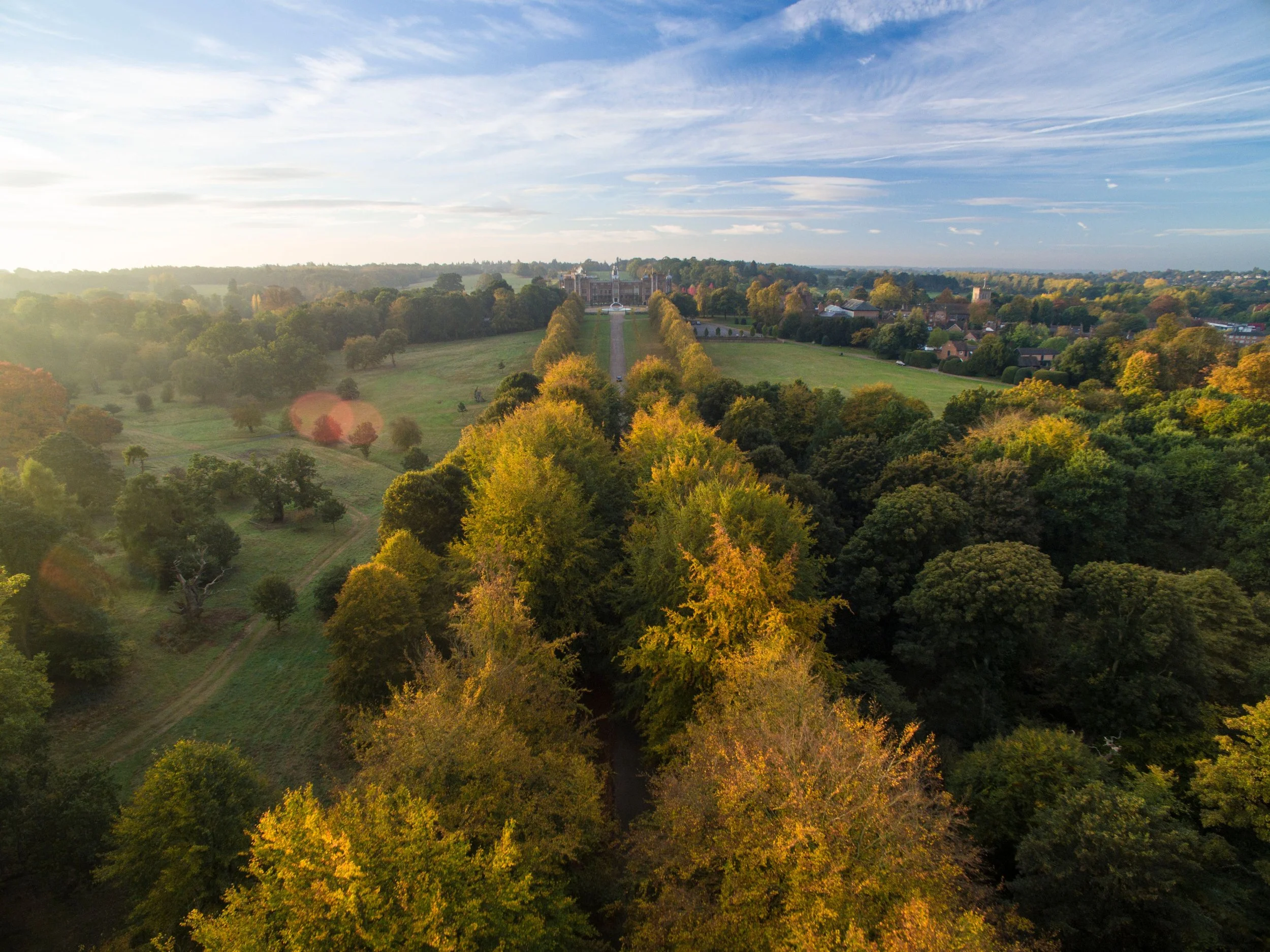 Hatfield House Park.jpeg
