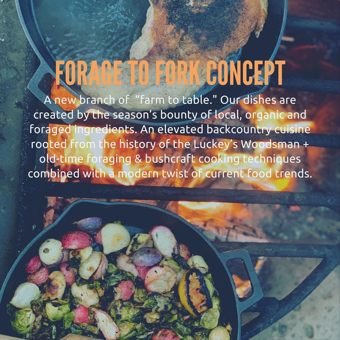 Our Foundation:

#lovewhatyoudo #realfood #forager #campfirecooking #sustainable #localfood #organicfood #adventure #offgridlife