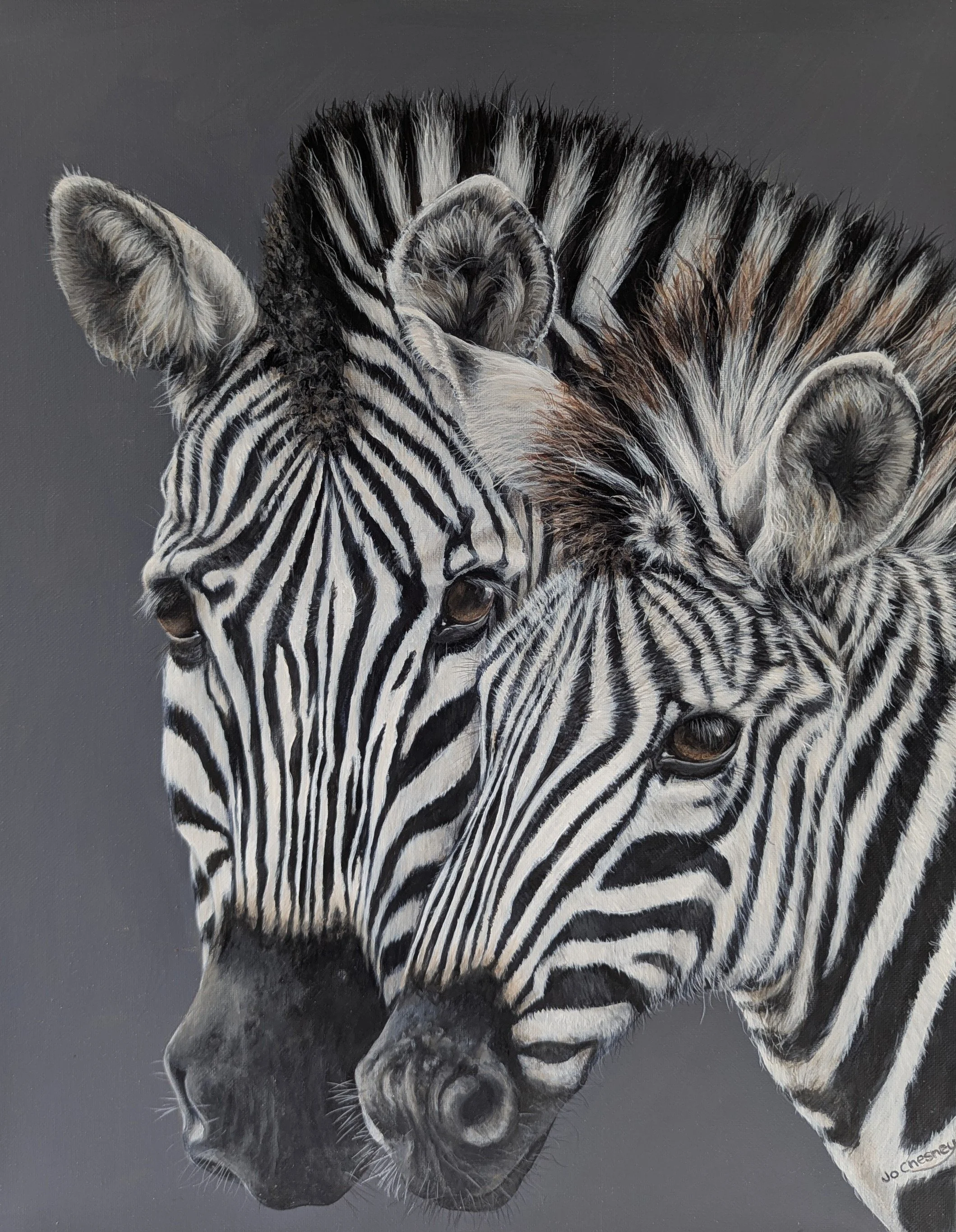 Harmony in Stripes Original Painting for sale 43 x 53cm including frame @ £295 plus p&p. Prints & cards available to order