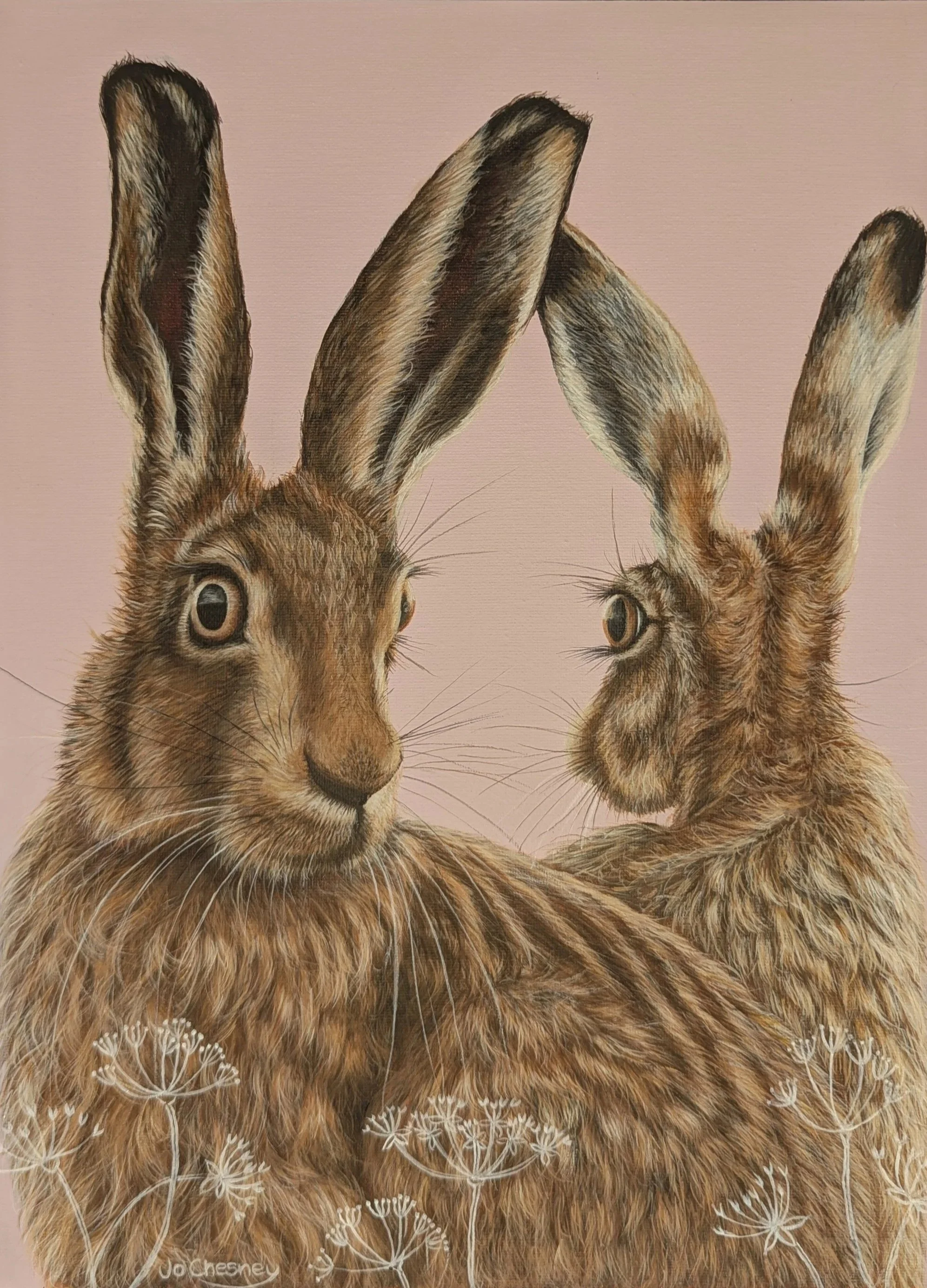 Hare Gazing Original Painting for sale 35 x 42cm including frame @ £295 plus p&p. Prints & cards available to order.