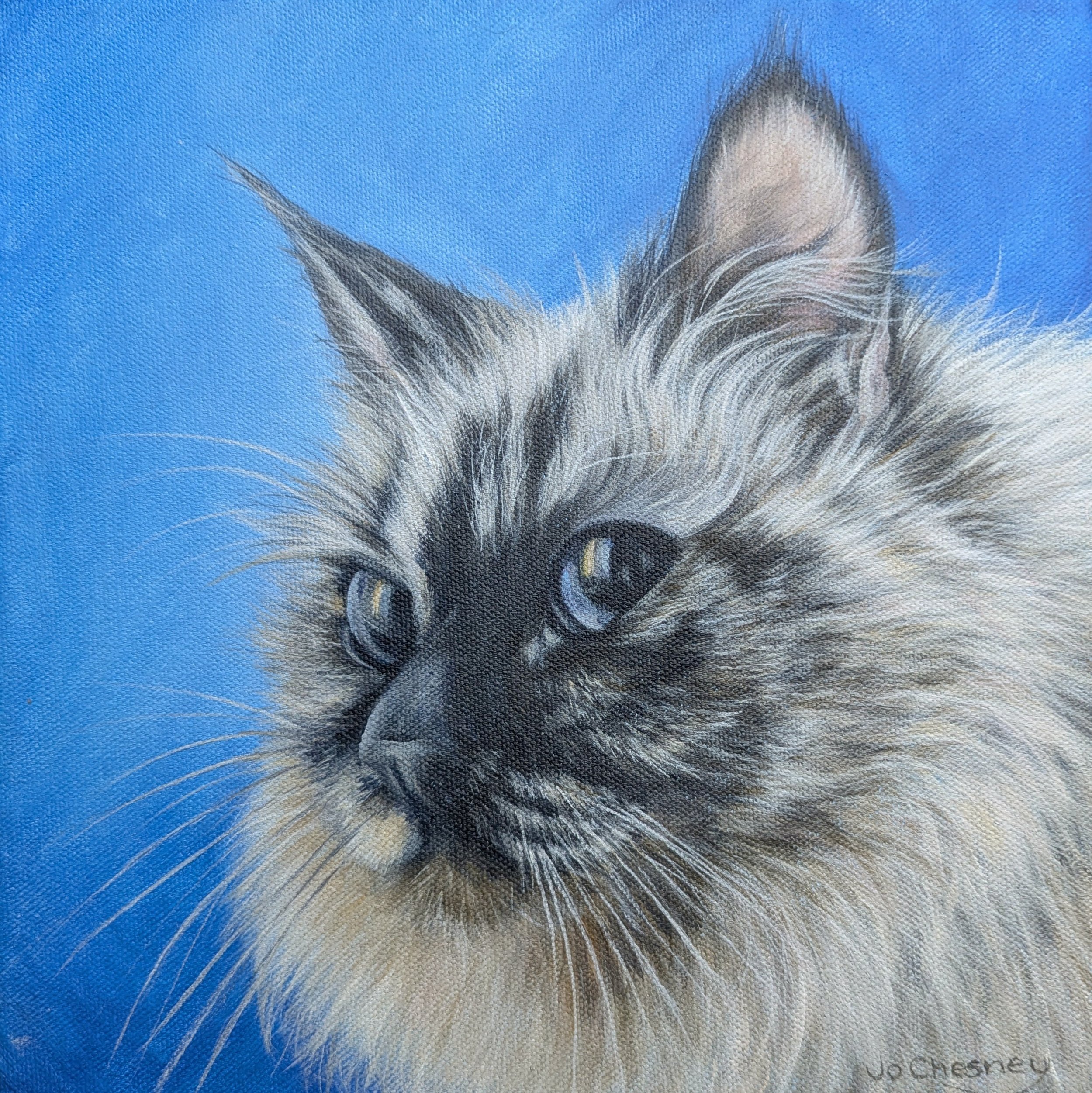 All Whiskers & Fluff -  Original Painting for sale 29.5 x 29.5 cm including frame @ £220 plus p&p. Prints & cards available to order