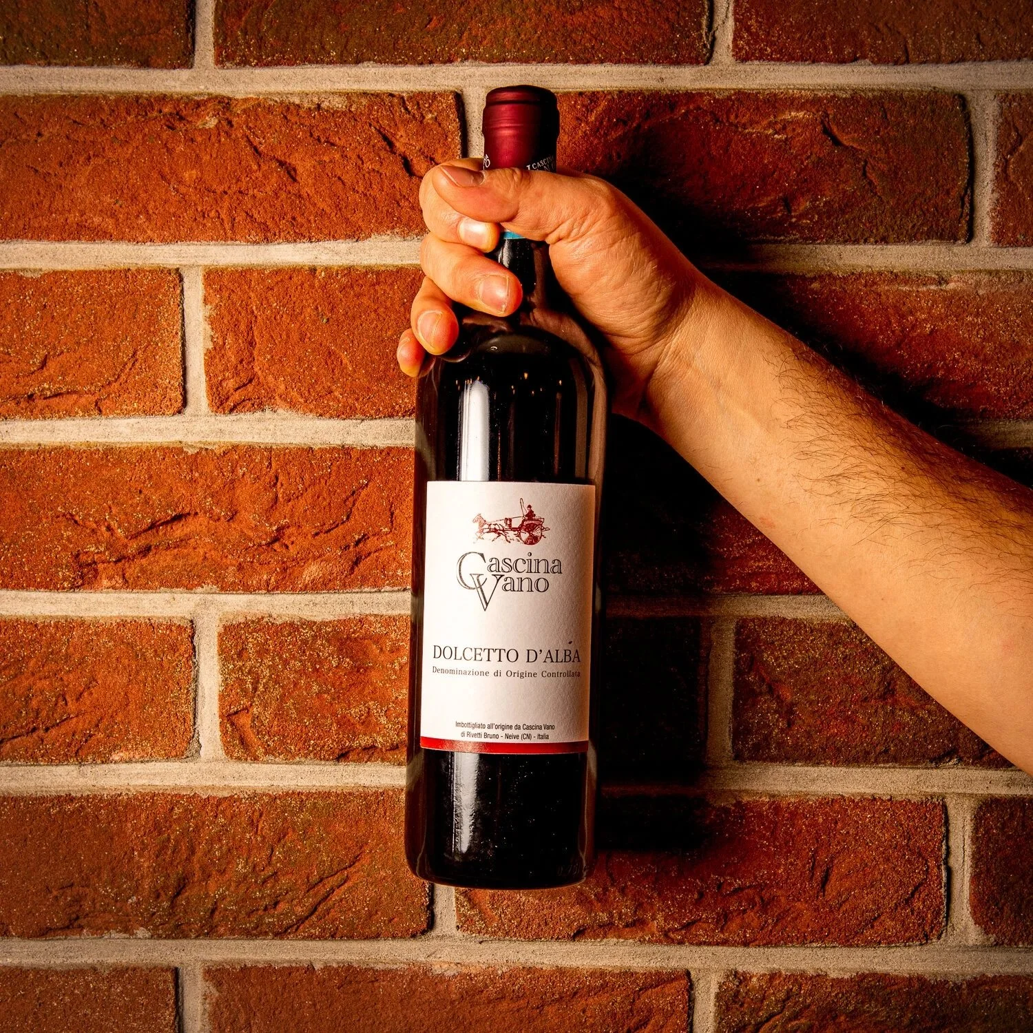 DOLCETTO D'ALBA
Grapes: Dolcetto ;
Producer: Cascina Vano ; 
Region: Piedmont ;
Tasting notes: Medium body, dry, lightly tannic.