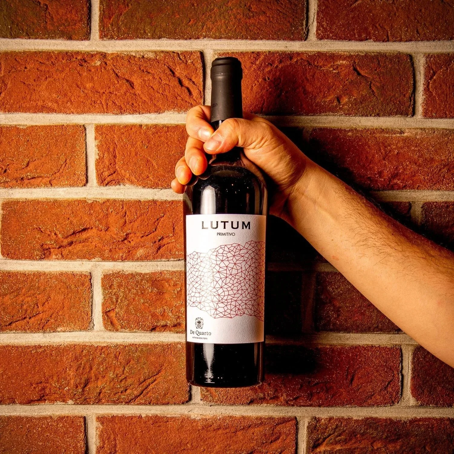 "LUTUM" PRIMITIVO Natural wine;  Grapes: Primitivo di Manduria ;
Producer: De Quarto ; 
Region: Puglia;
Tasting notes: Full body, fruity but powerful.