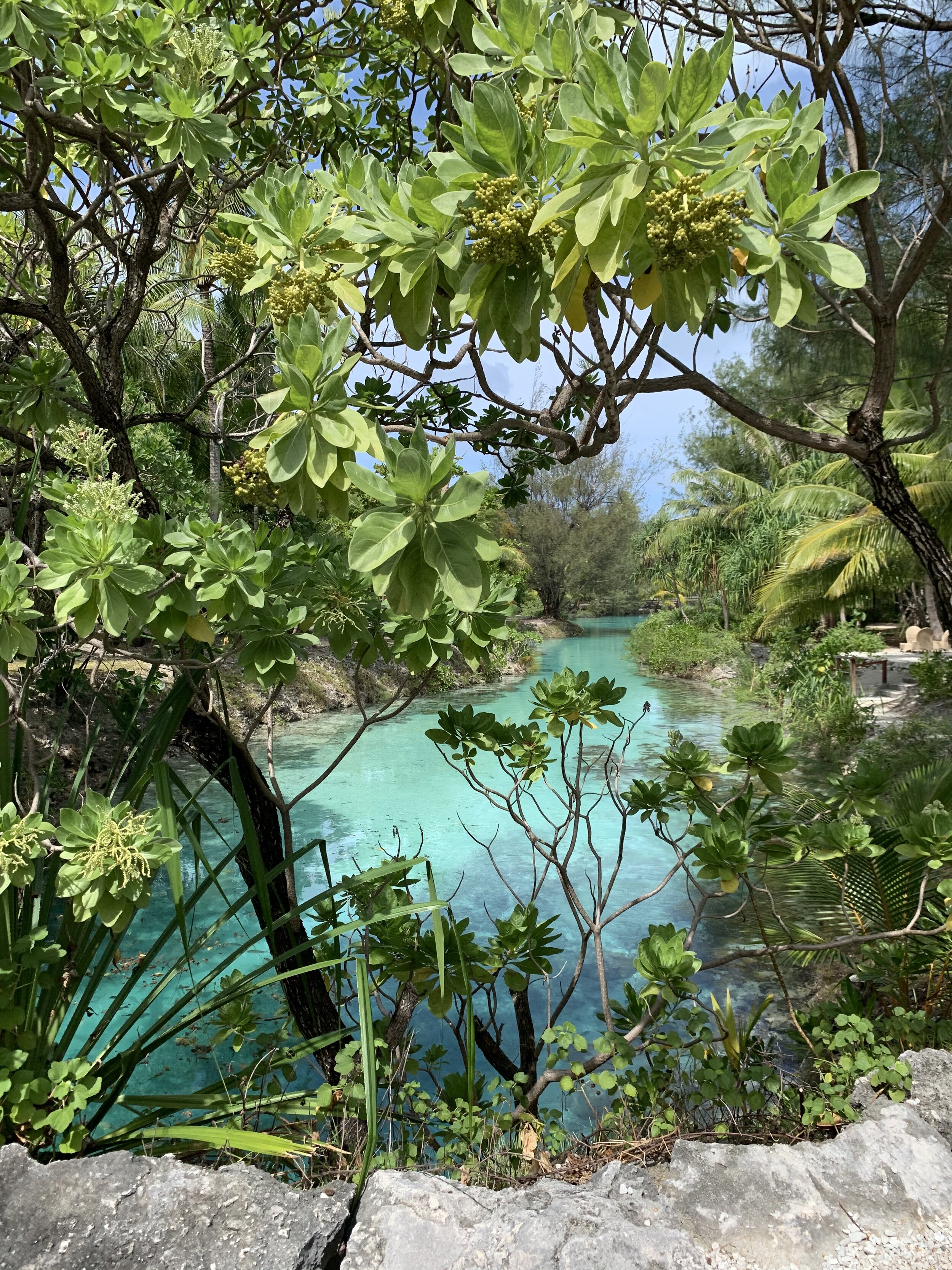 Four Seasons Bora Bora  lagoon (Copy)