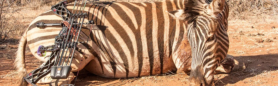 cropped_south_africa.jpg