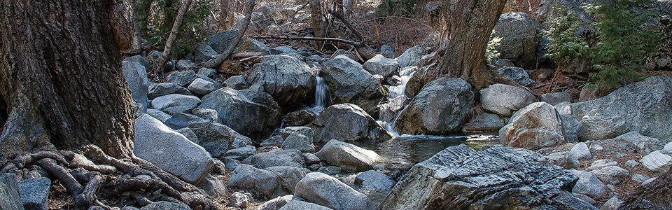 cropped_icehouse.jpg