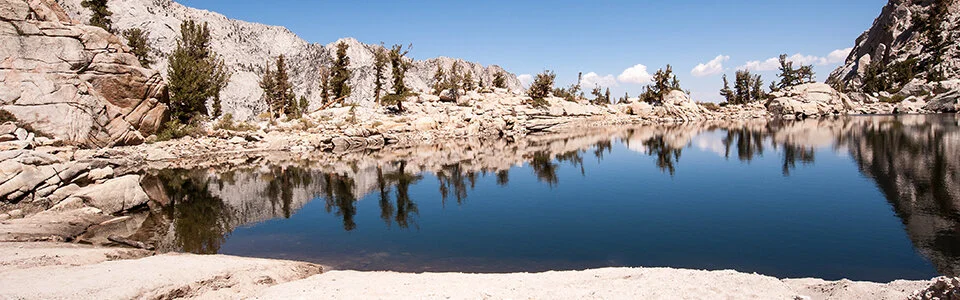 cropped_lone_pine.jpg