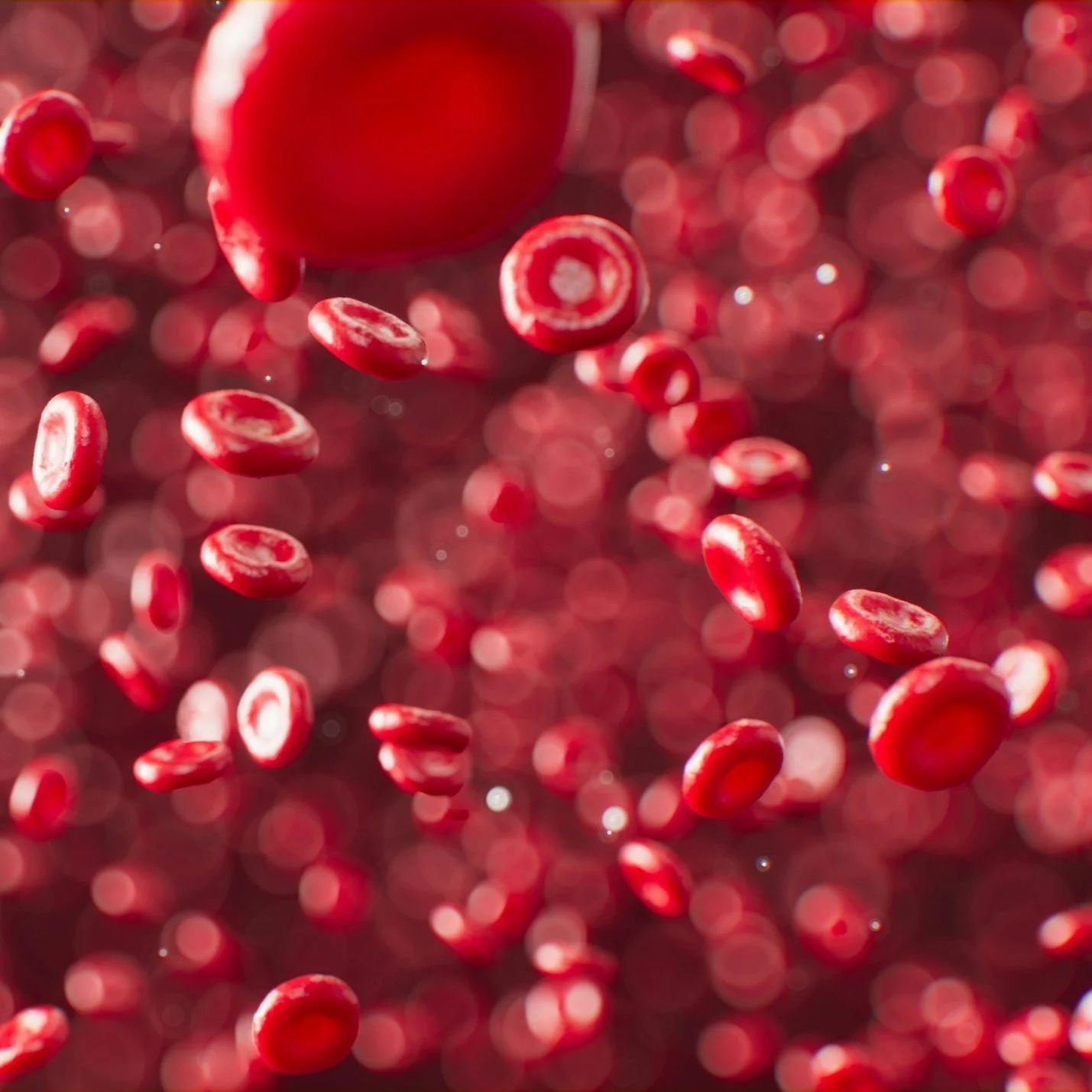 Biologic Injections and Accelerated Healing Protocols (PRP and BMAC ...