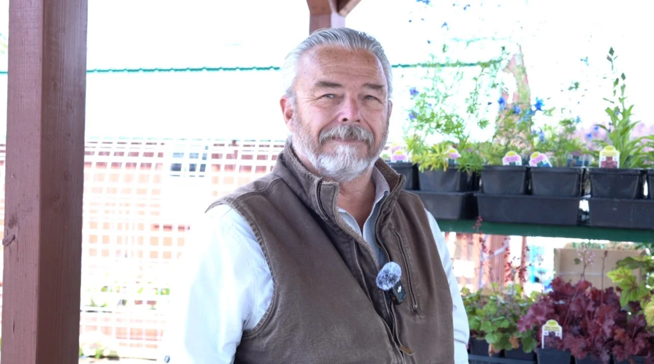 Bonsai Blue's Top Pics for Shade Loving Plants
