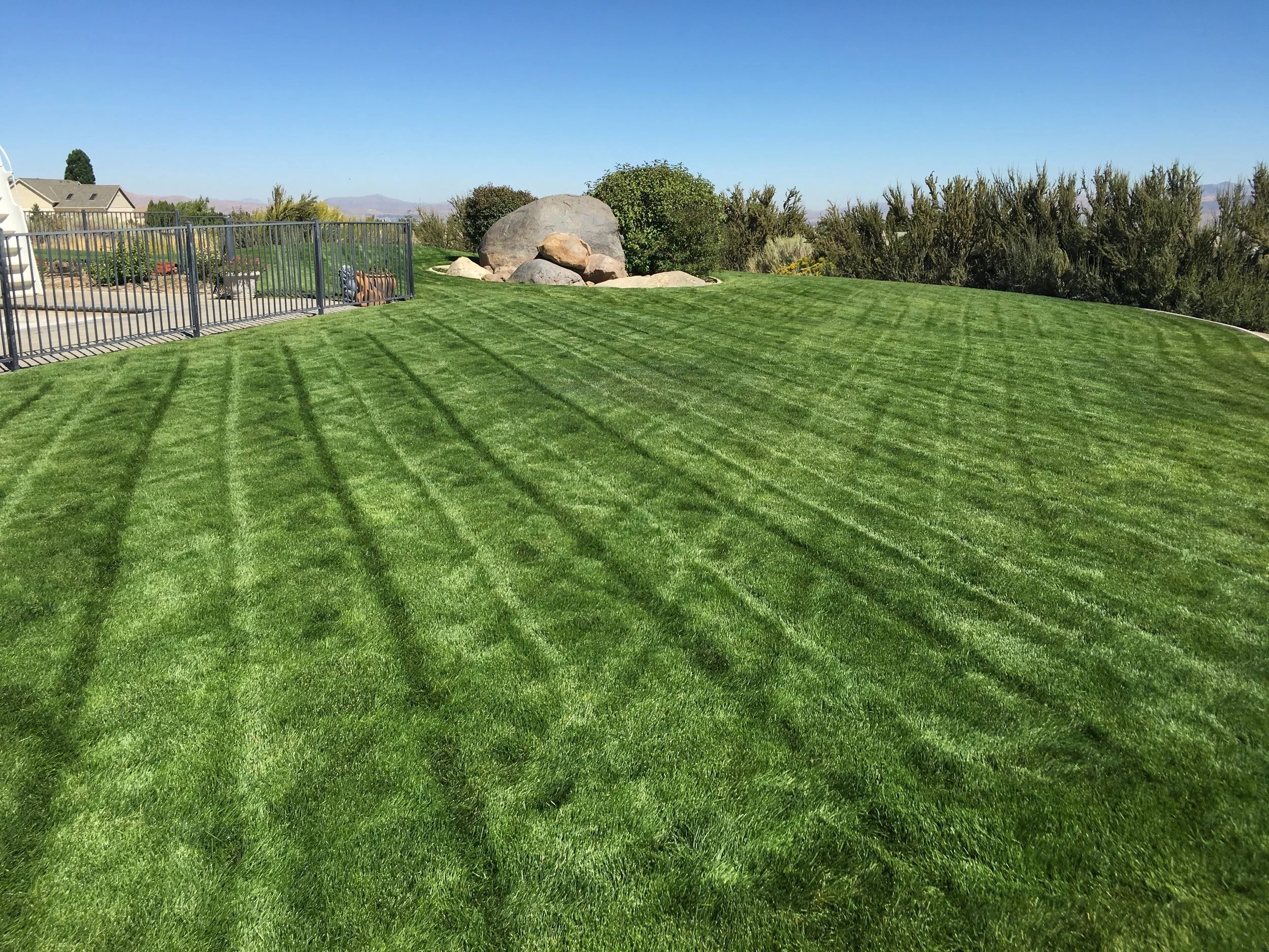 5 Tips to Prep Your Lawn &amp; Garden for Fall