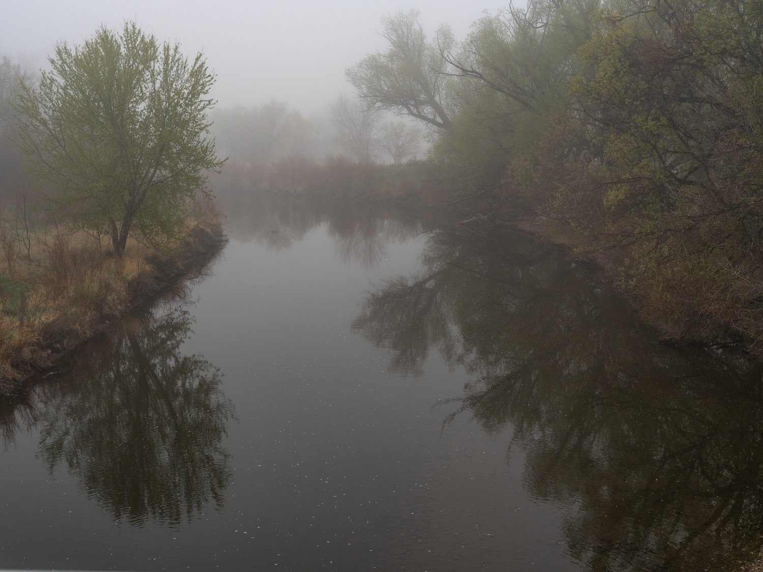 DSCF2465.jpg