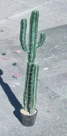 Fake Cactus 3