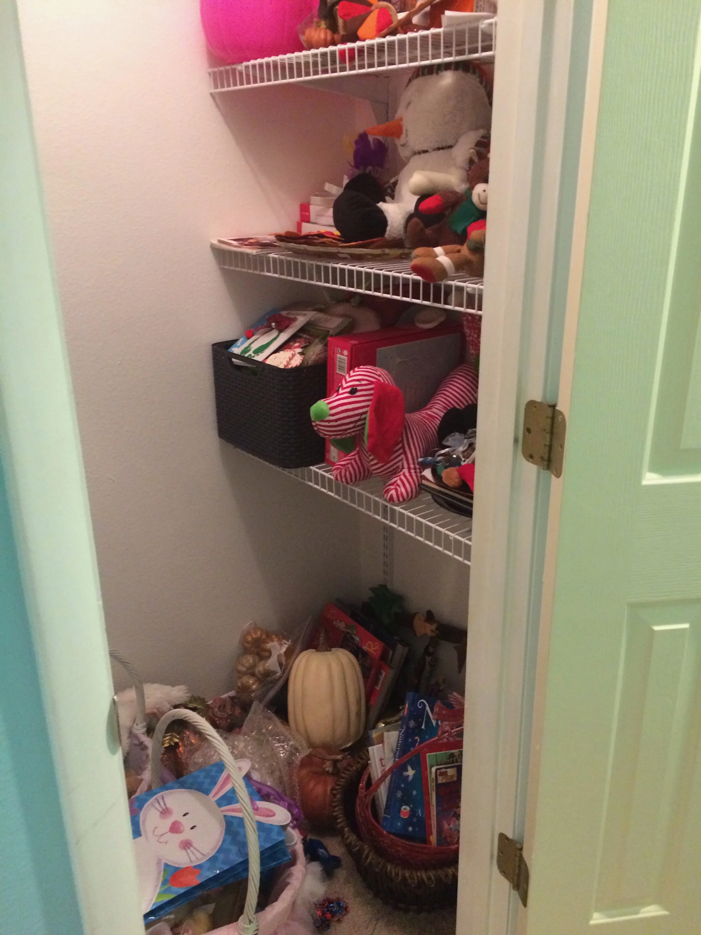 Seasonal Decoration Closet Before 1.JPEG