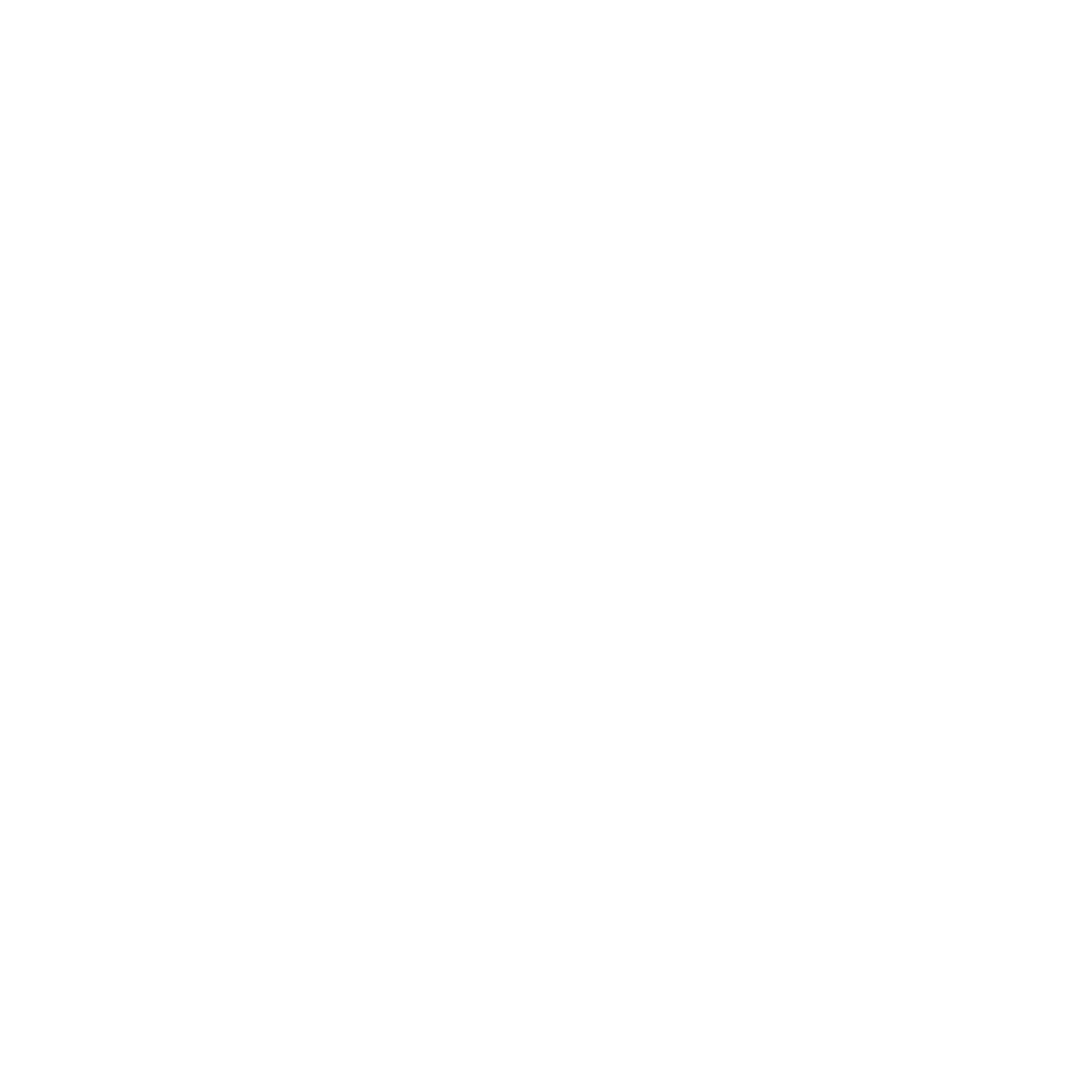 History &amp; Evolution