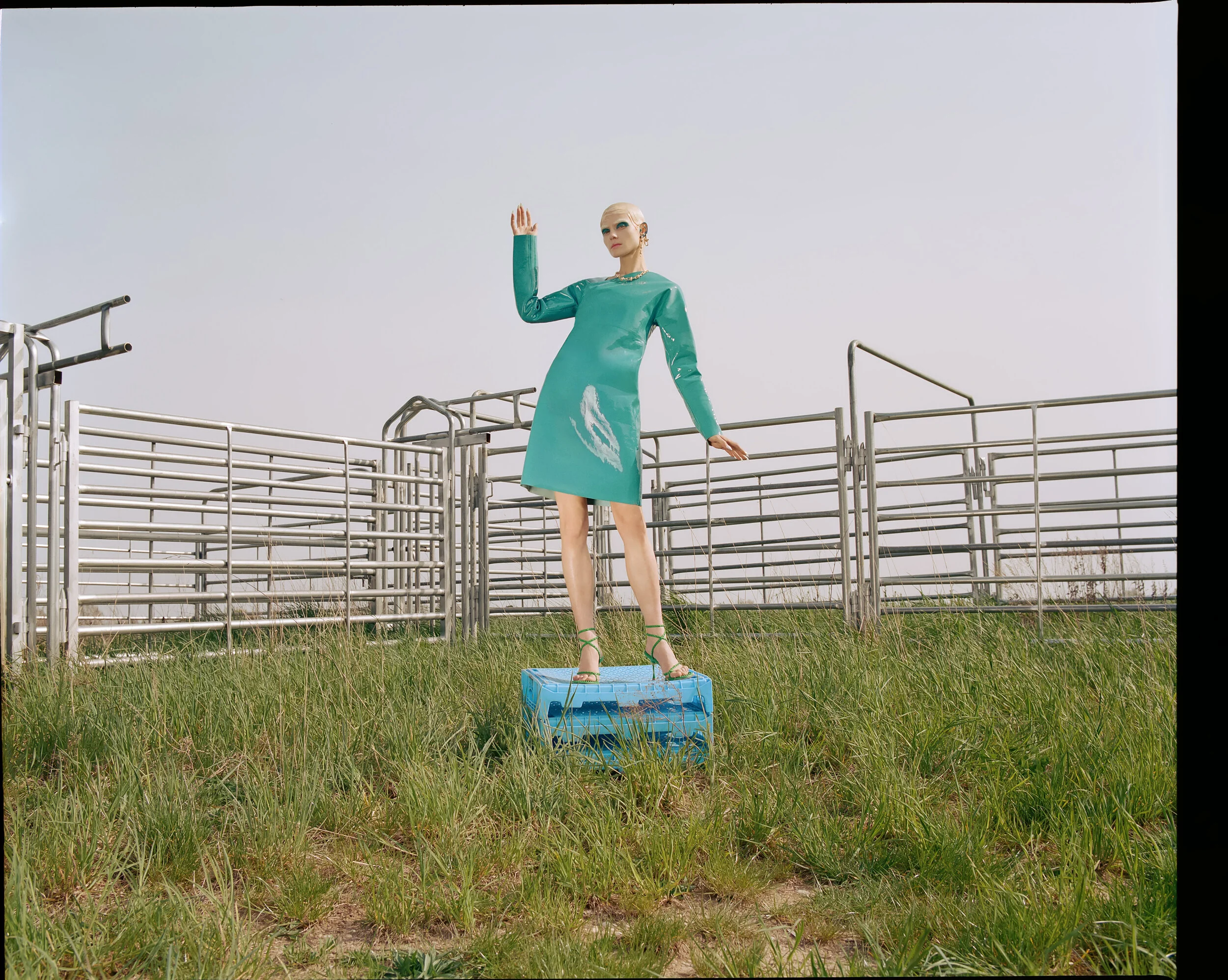 RGB 01 ALIEN FARM FAULT.jpg