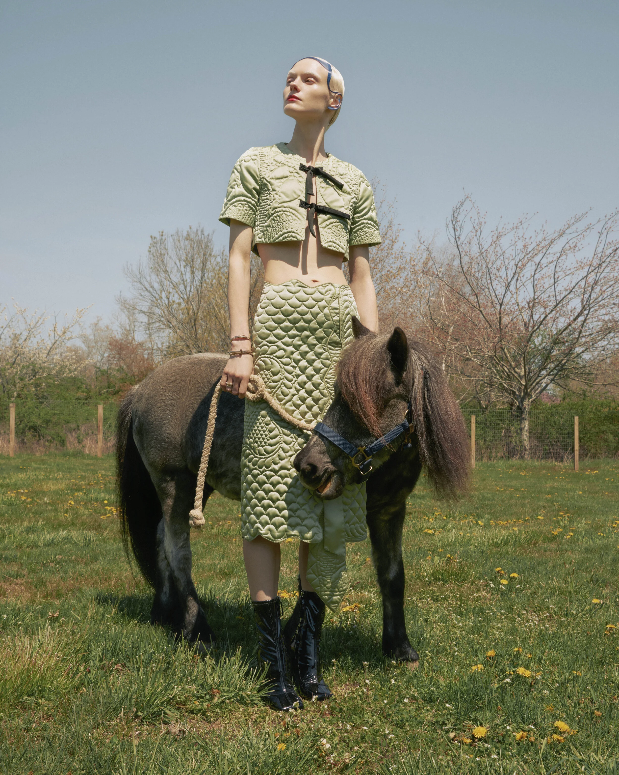 RGB 11 ALIEN FARM FAULT.jpg