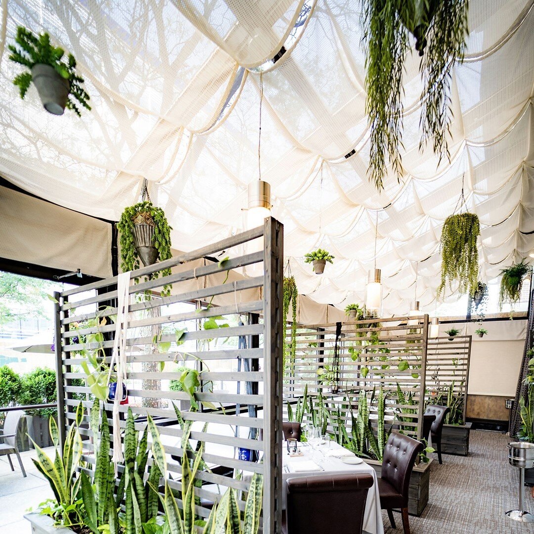 Have you made your reservations for #LaborDay weekend? Enjoy the last days of summer in our bright and airy Garden Room!
⠀⠀⠀⠀⠀⠀⠀⠀⠀
#dceats #dcfoodie #dcdining #dcfood #edibleDC #eaterdc #dcrestaurants #downtowndc #dcvegan #vegansofdc #dcvegans #dcveg