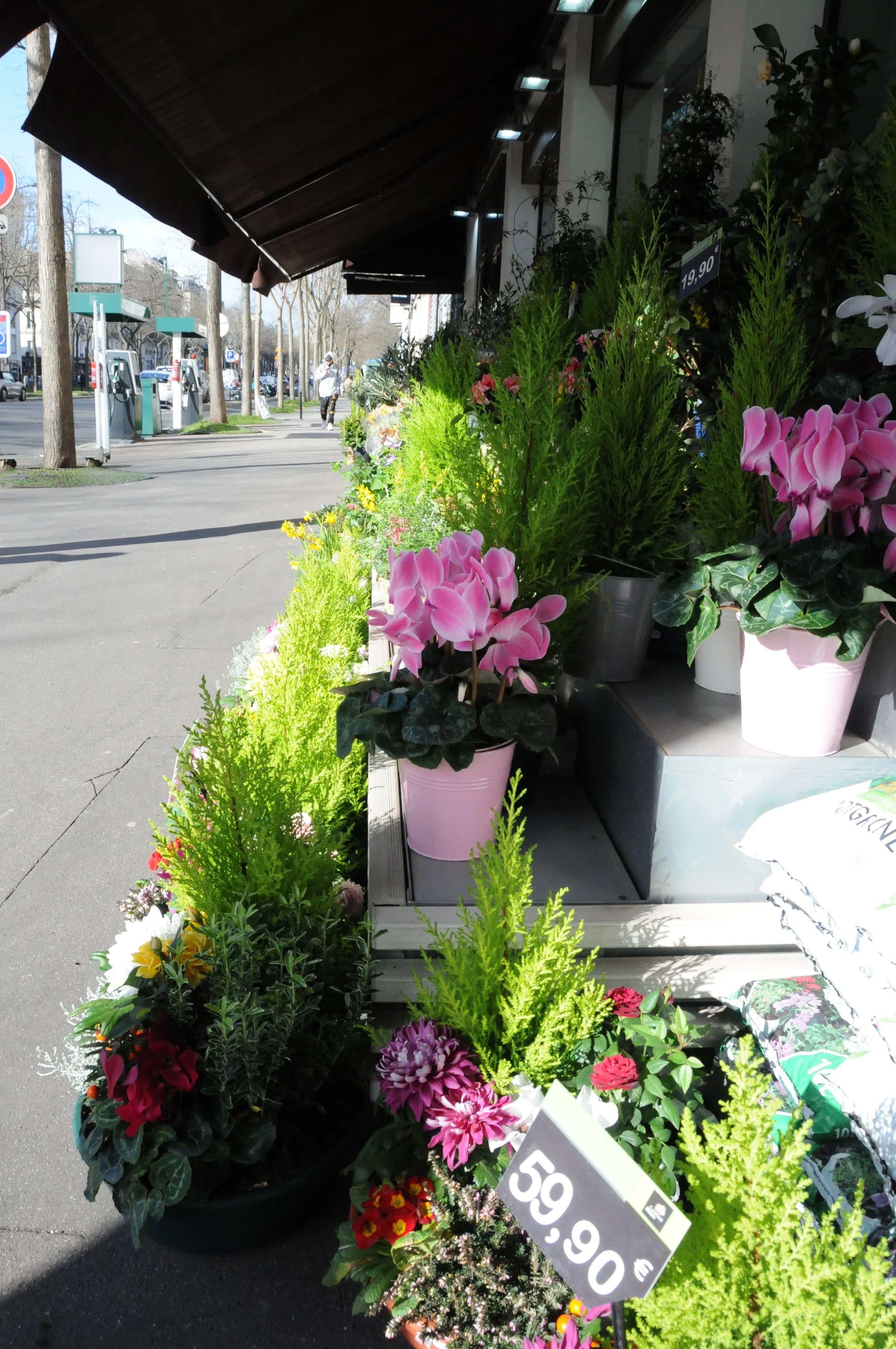 Copy of DSC_4090.JPG