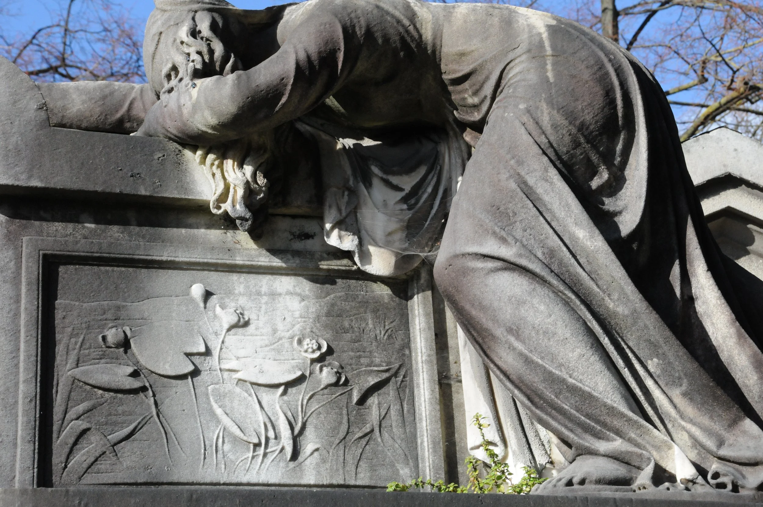 Copy of DSC_4109.JPG