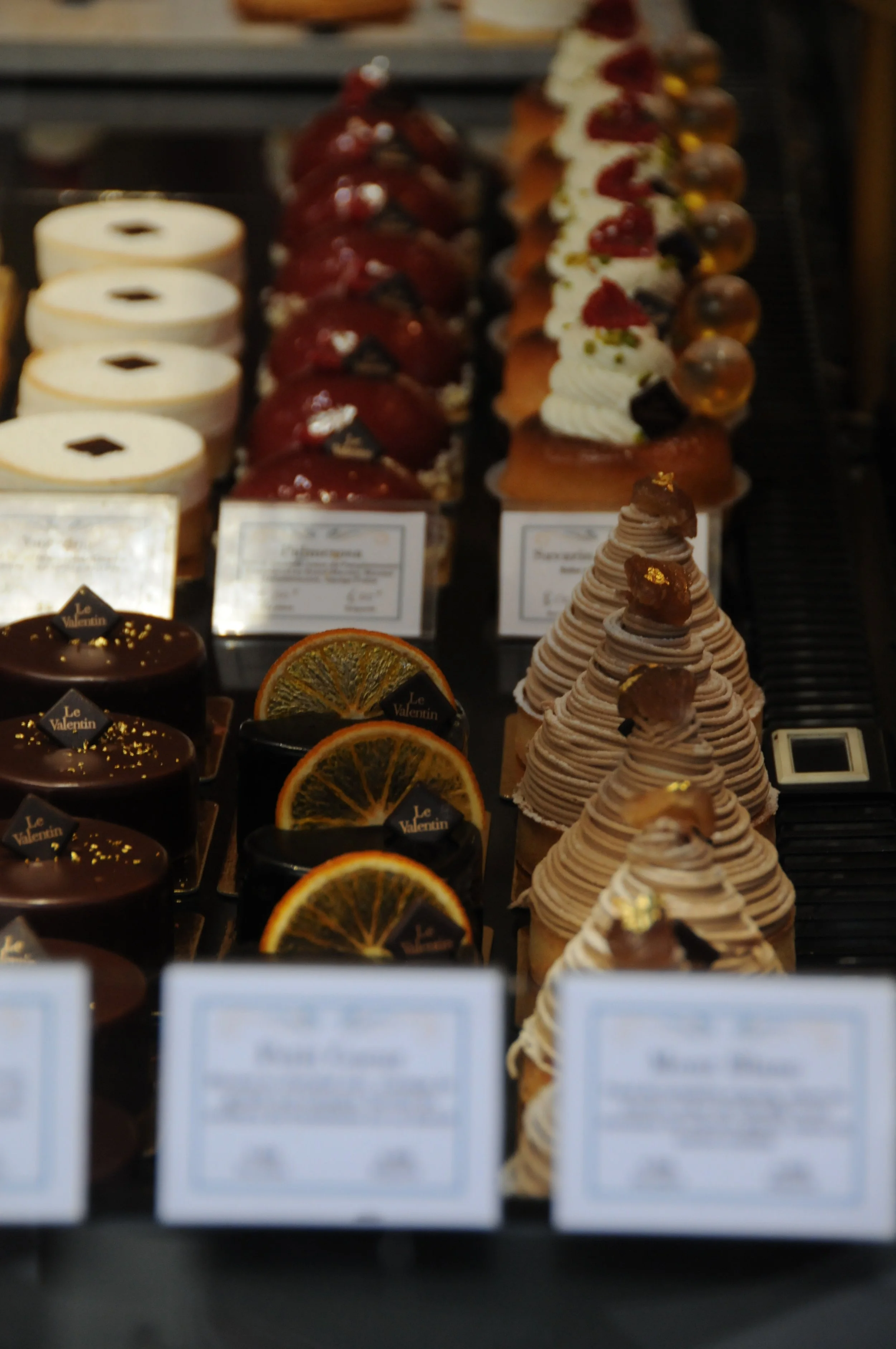 Copy of DSC_4198.JPG