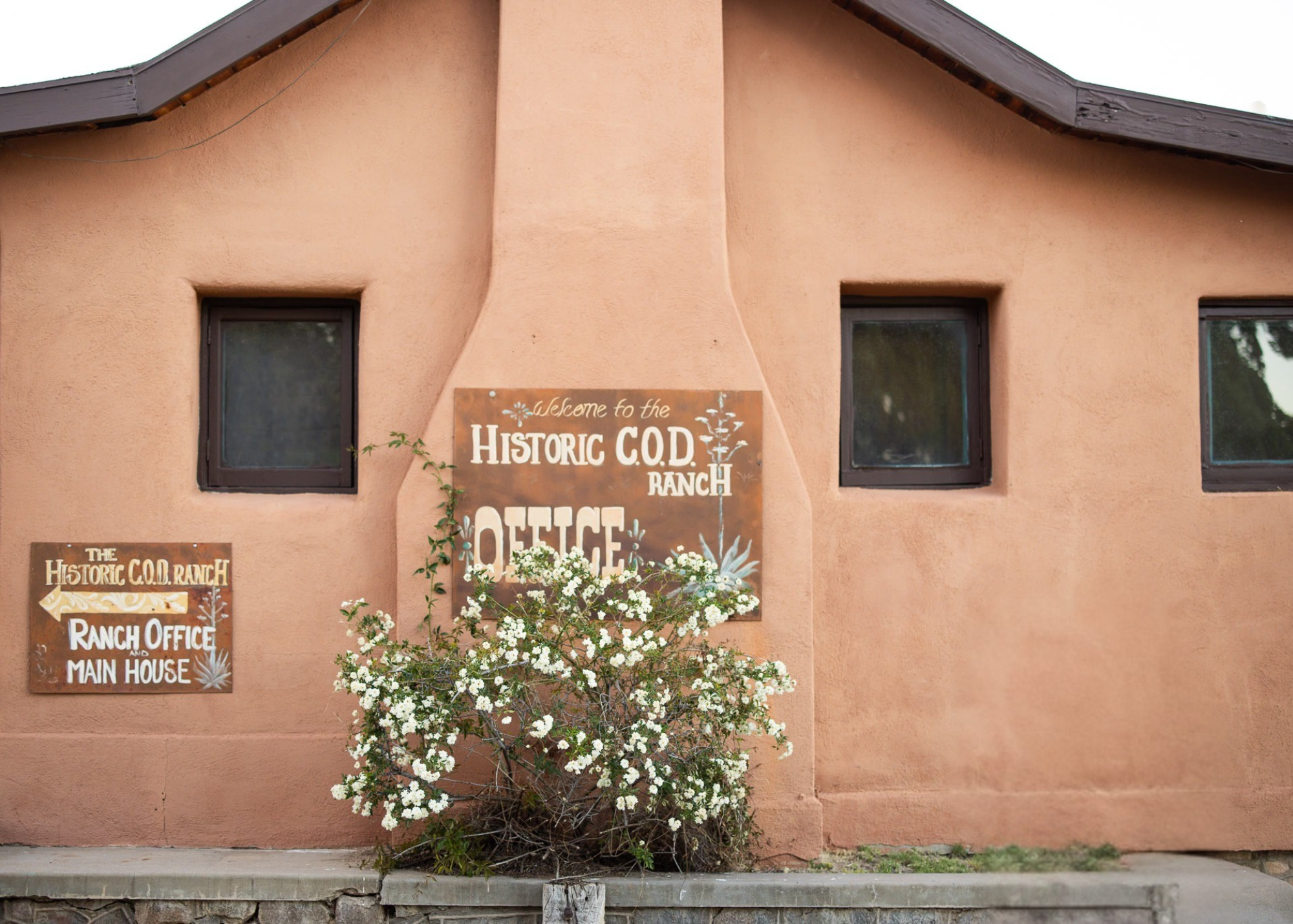 Untitled design (4).png