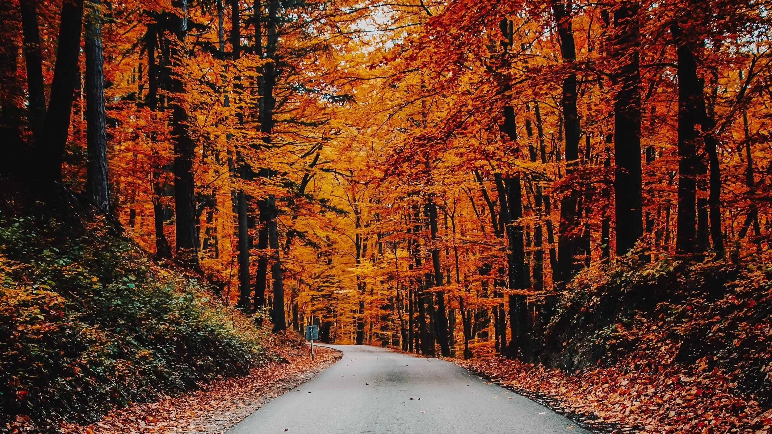 The Body: Relax the Grip of Anxiety