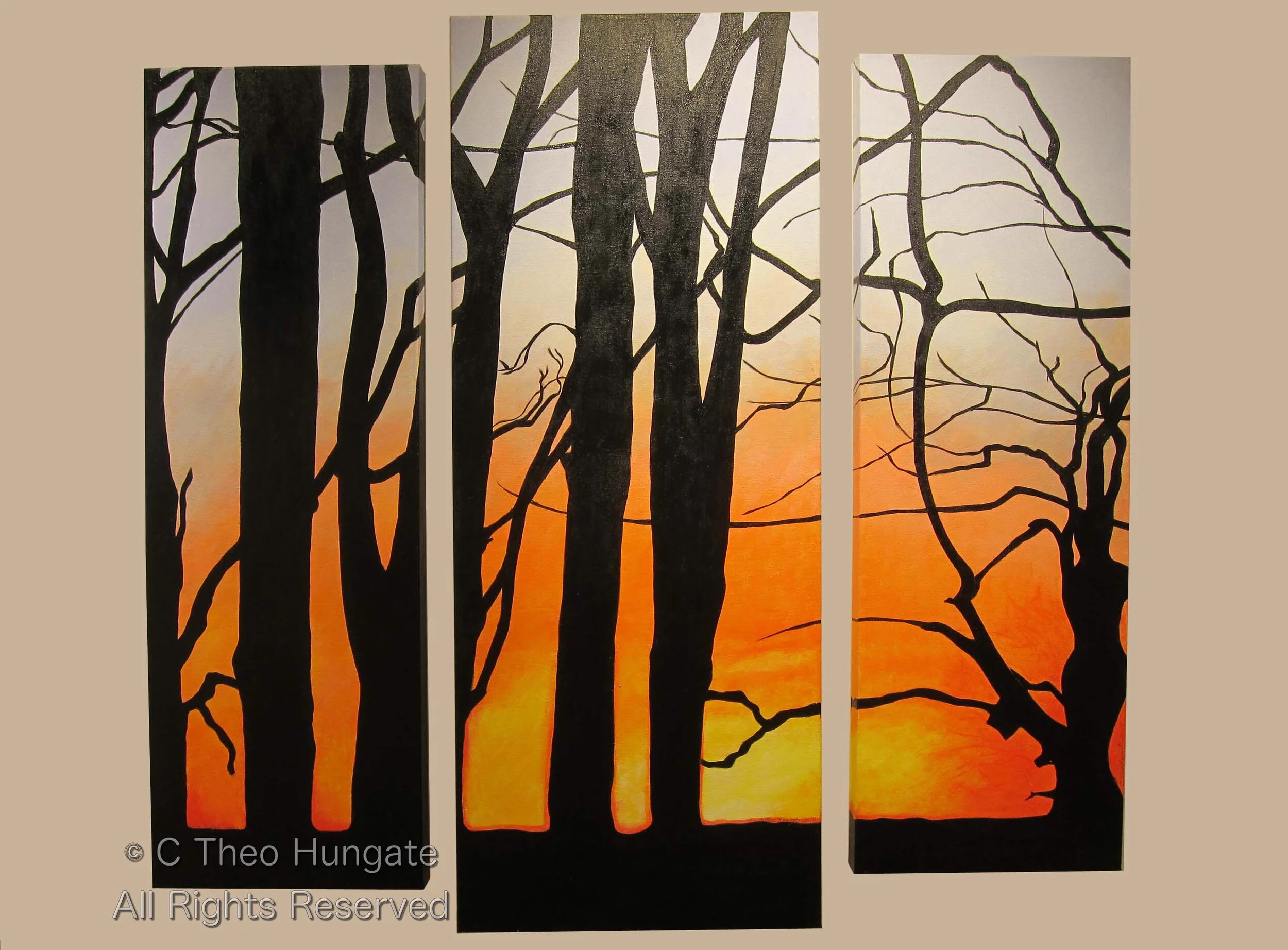 Lightness in the Dark I,II,III (triptych), 2014, acrylic on canvas, cntr. panel 16"x 40", side panels 12"x 36",  $400 and $375 respectively