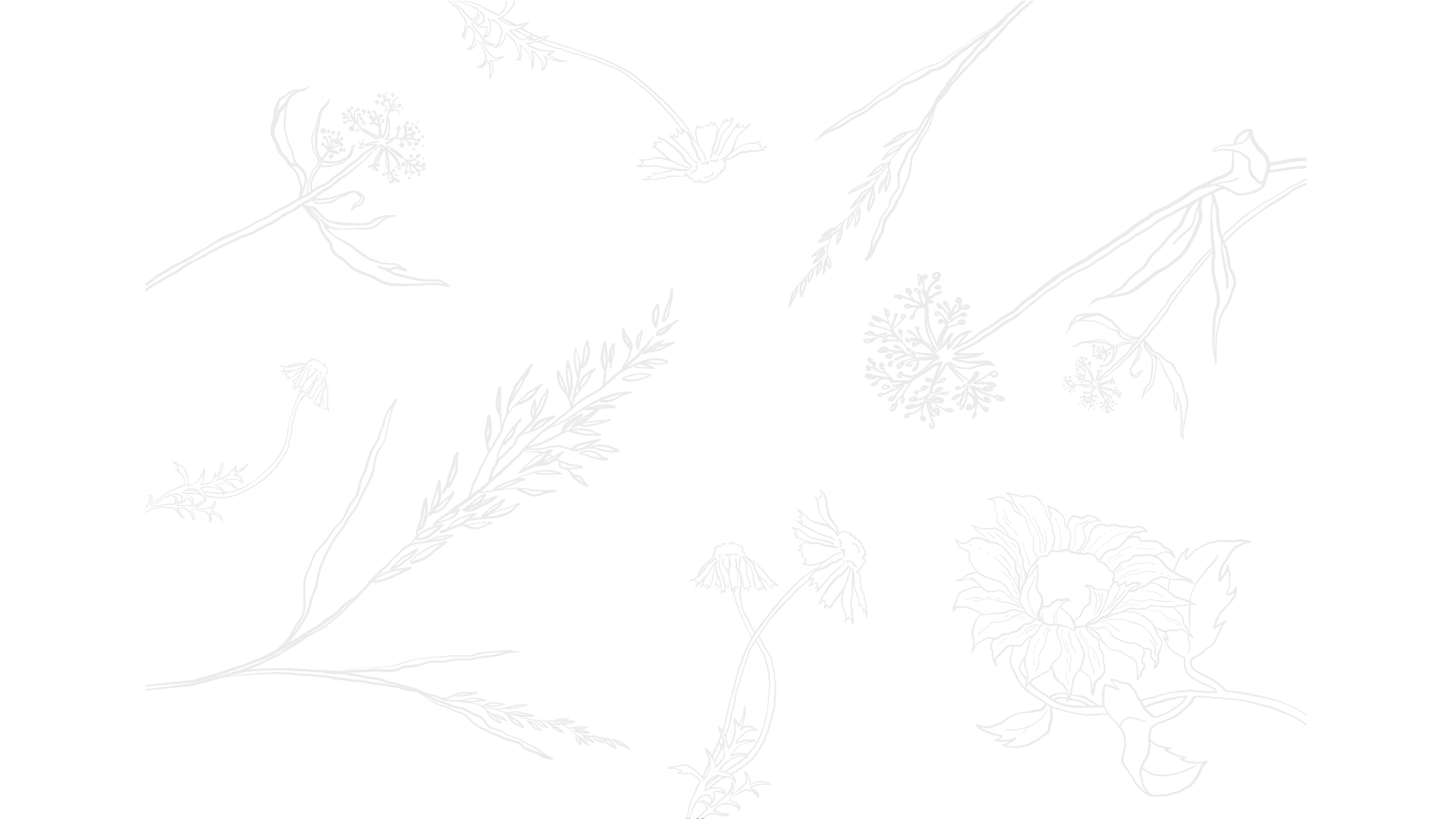 The Jenny Dress Floral — Praerie