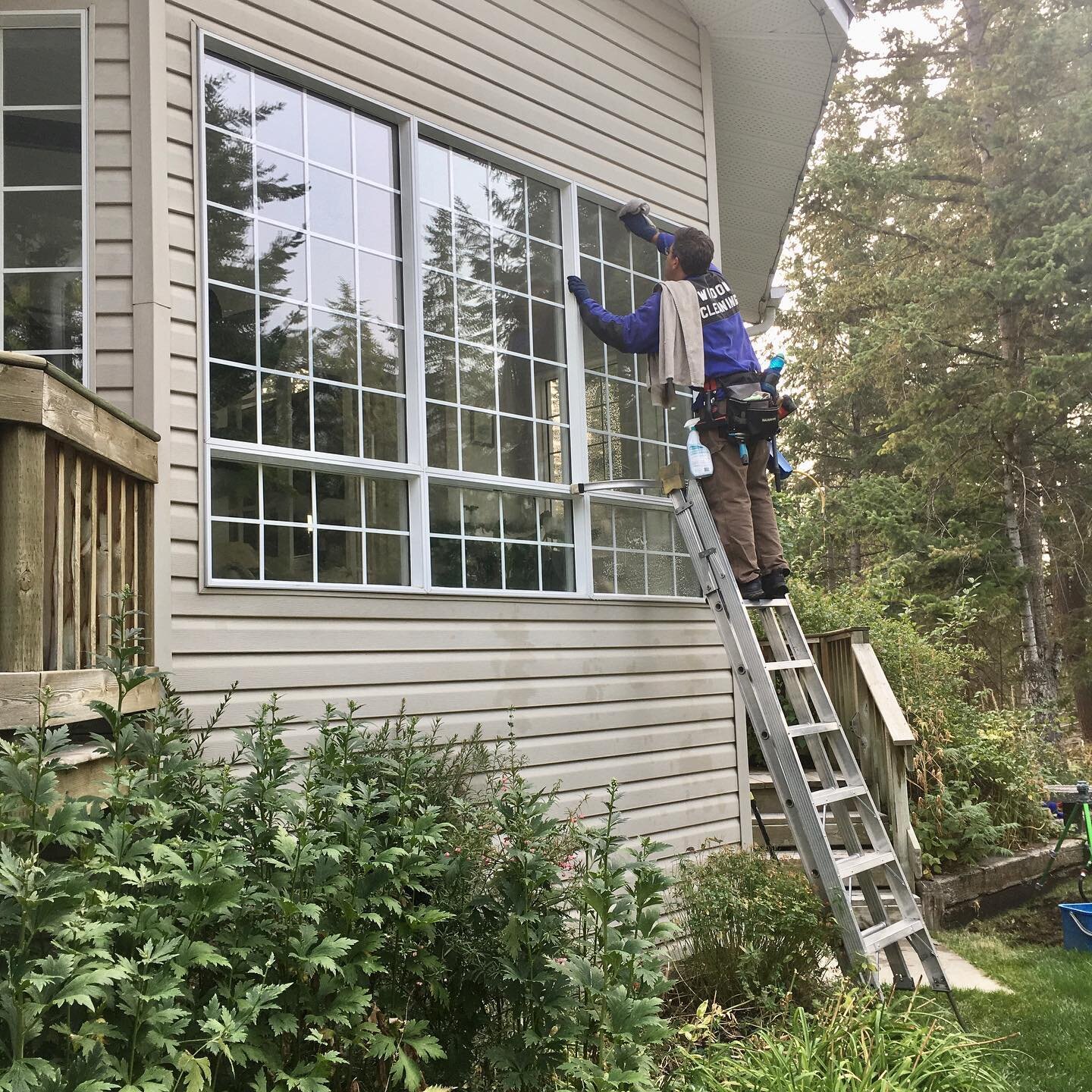 More critters than windows 🤷&zwj;♀️😍❤️ which one is named Sarge? #windowcleaning #windowcleaningcranbrook  #cranbrook