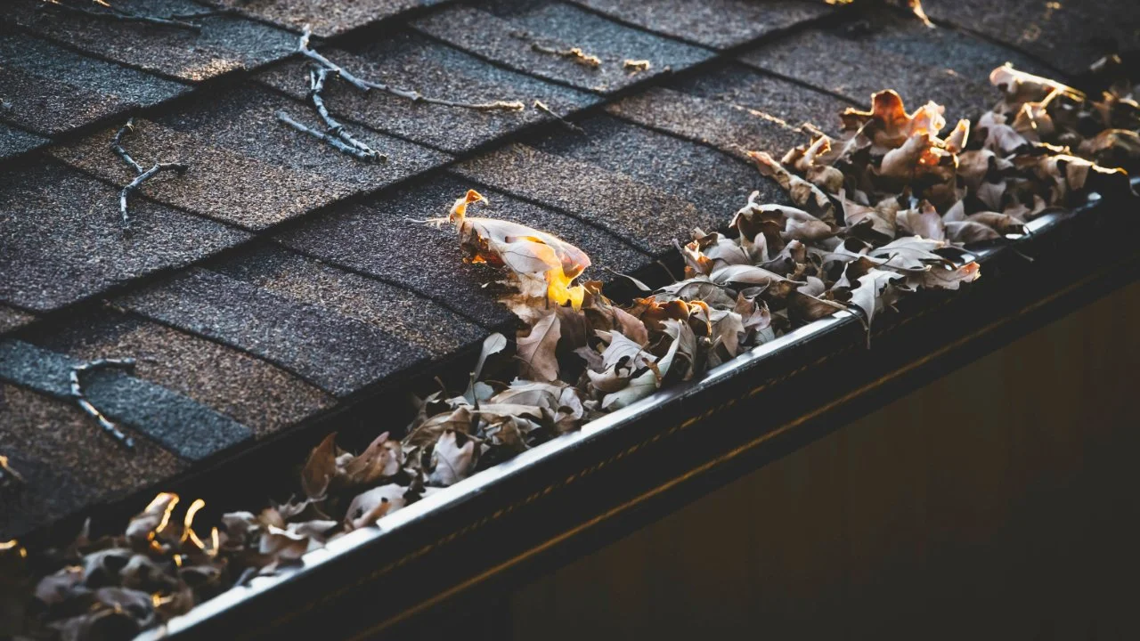 Gutter clogged with leaves and debris along a roofline
