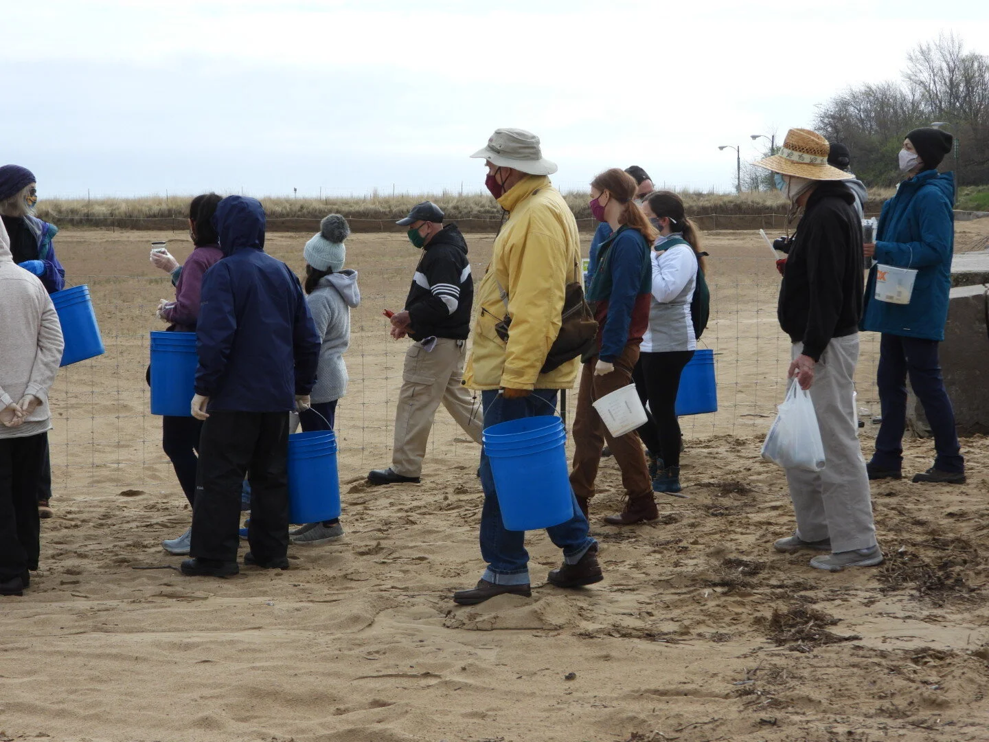 Prepping for the Plovers’ Return - Montrose Beach Cleanup