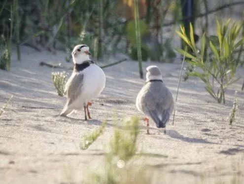 A sorrowful start to the day