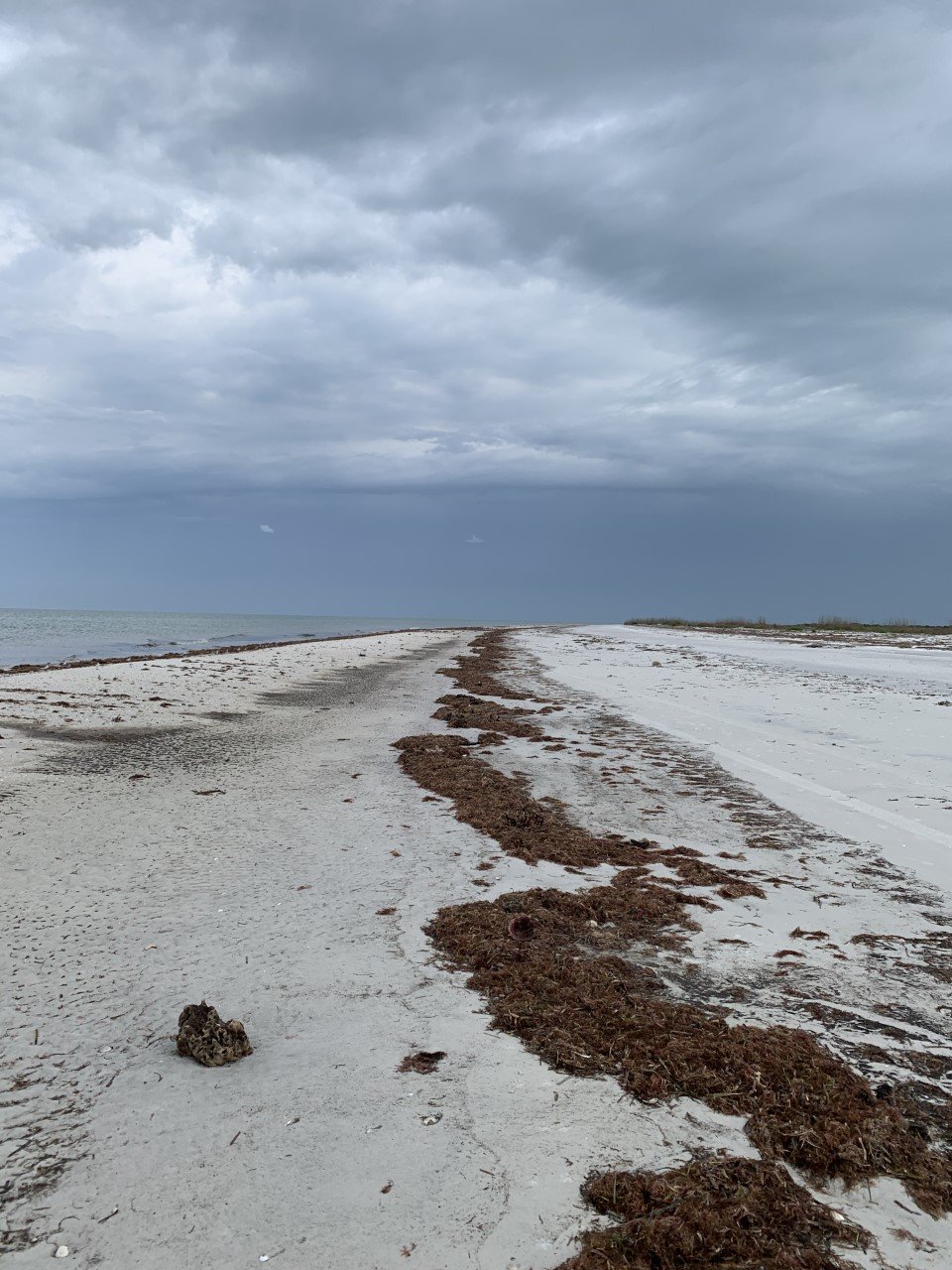 Southern end of Anclote Key Island