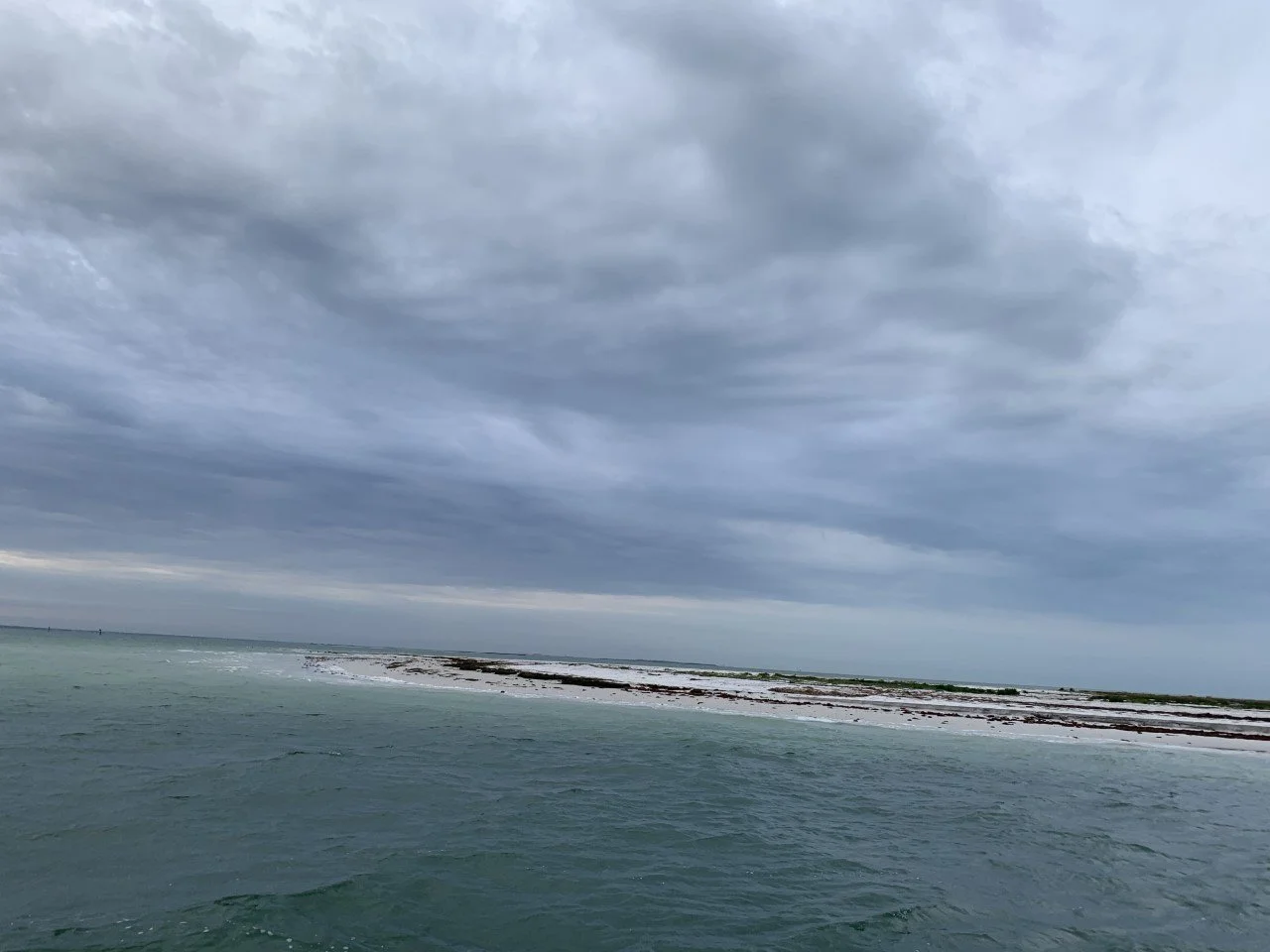A Visit to Anclote Key (March 15, 2022)