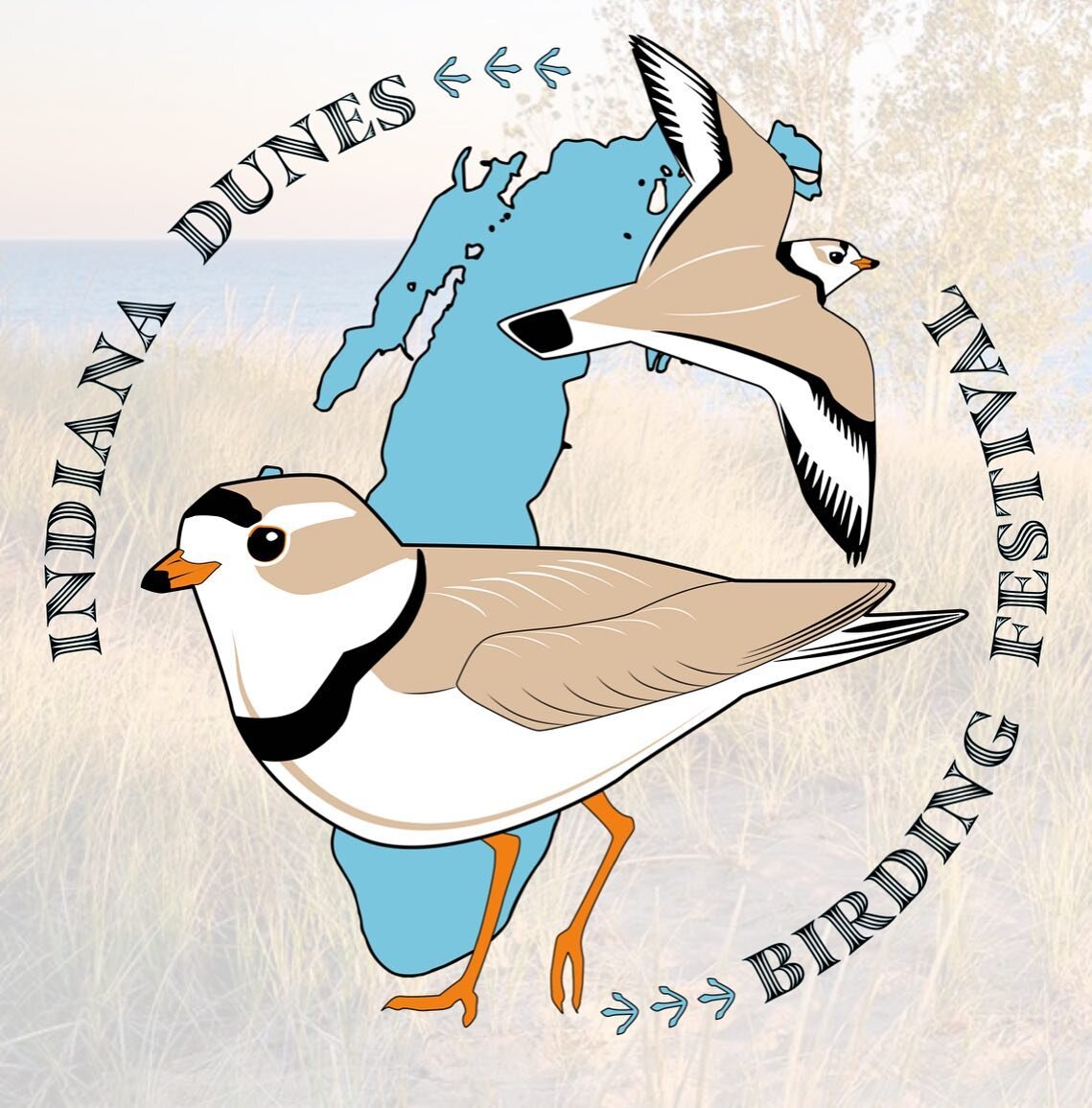 We 🤍 the logo for this year&rsquo;s Indiana Dunes Birding Festival. It looks like a great event with many wonderful talks, including a Great Lakes Piping Plover panel discussion! Link in profile, if you&rsquo;d like to learn more. #plover #endangere