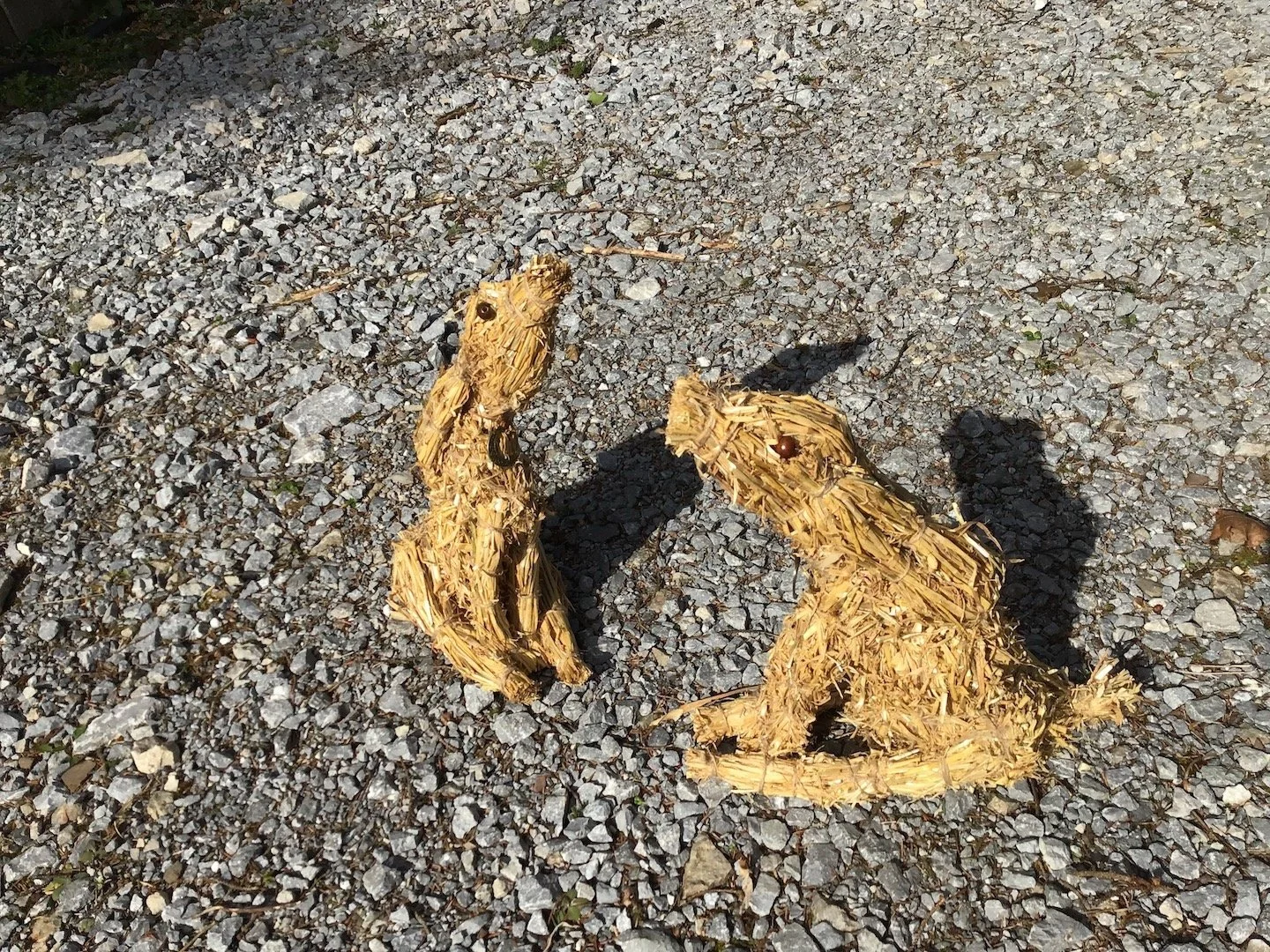 Moon Gazing hares.1jpeg.jpeg