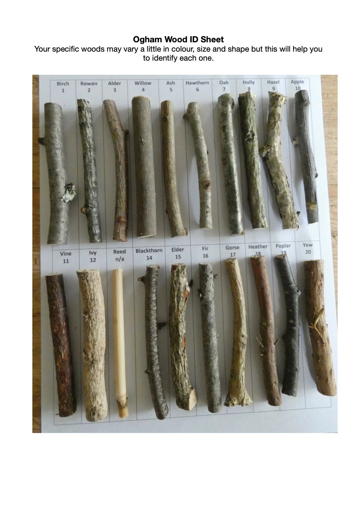 Ogham ID Sheet.1.jpeg