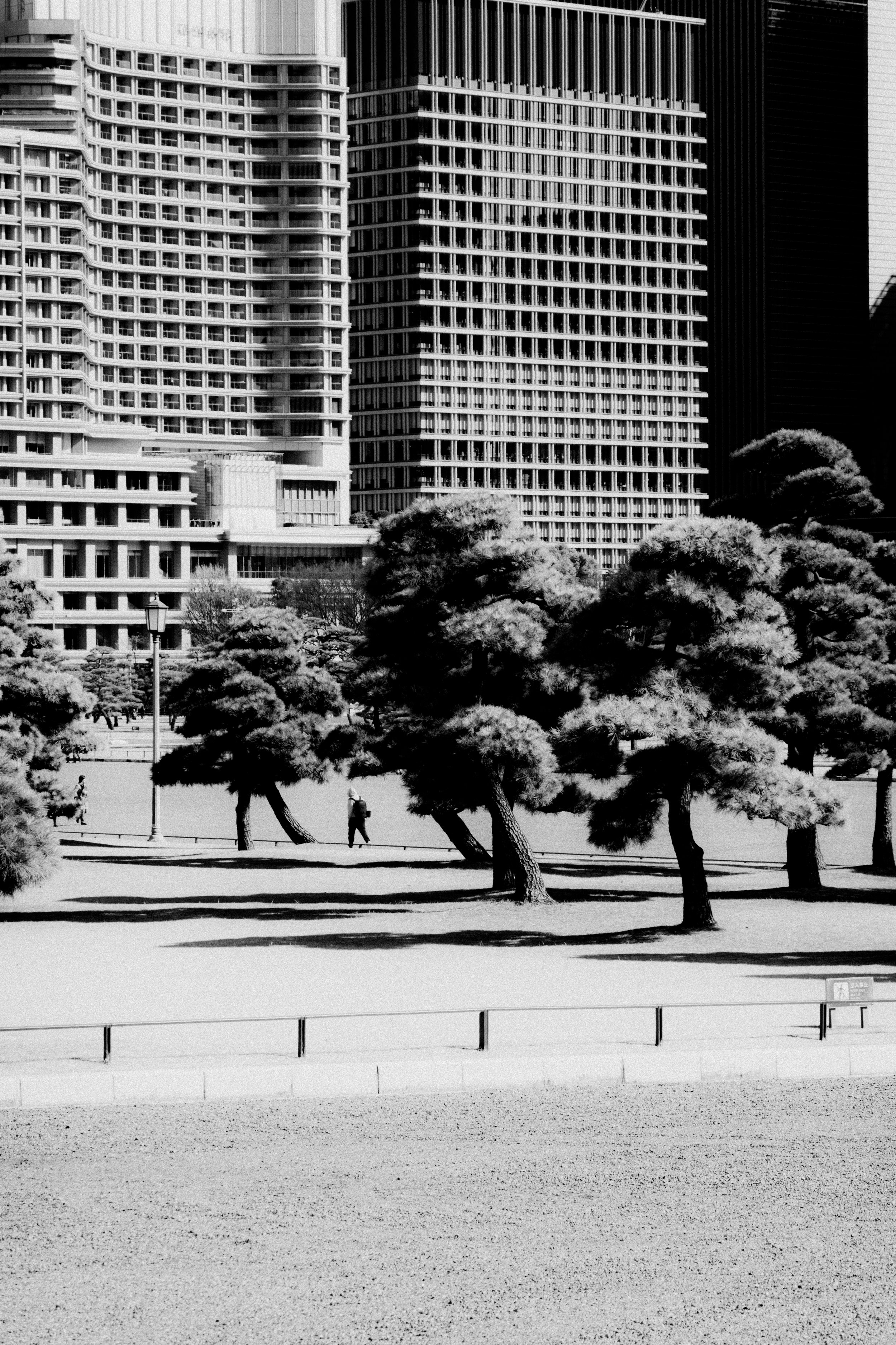 DAILIES_0017.jpg
