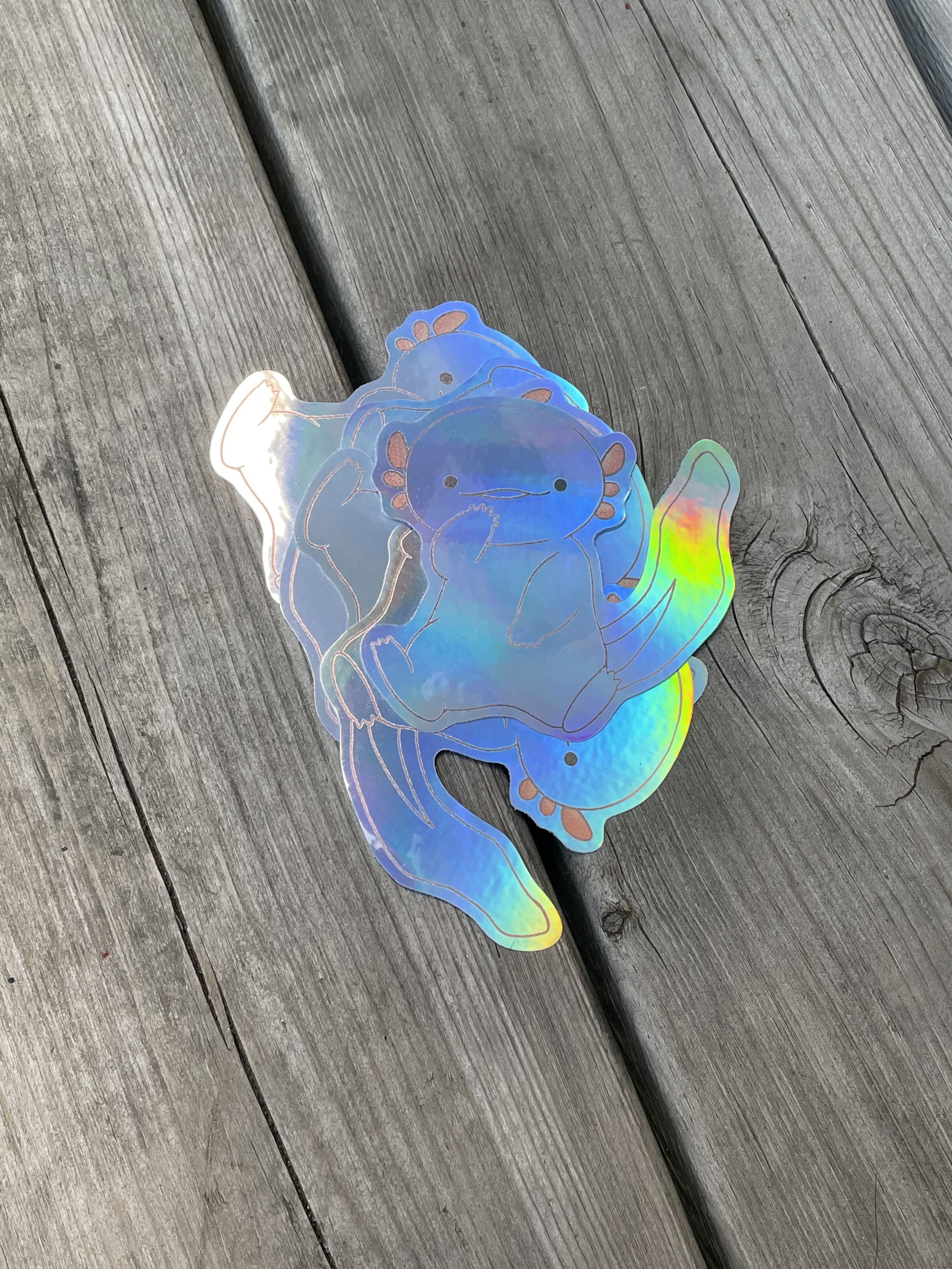Holographic Sticker