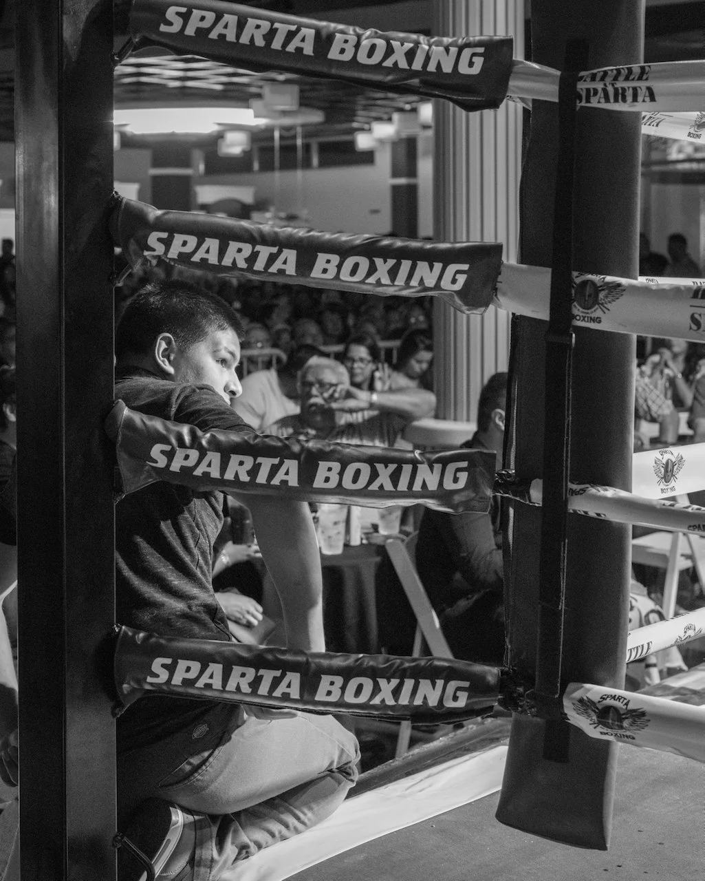 Sparta Boxing - Heber