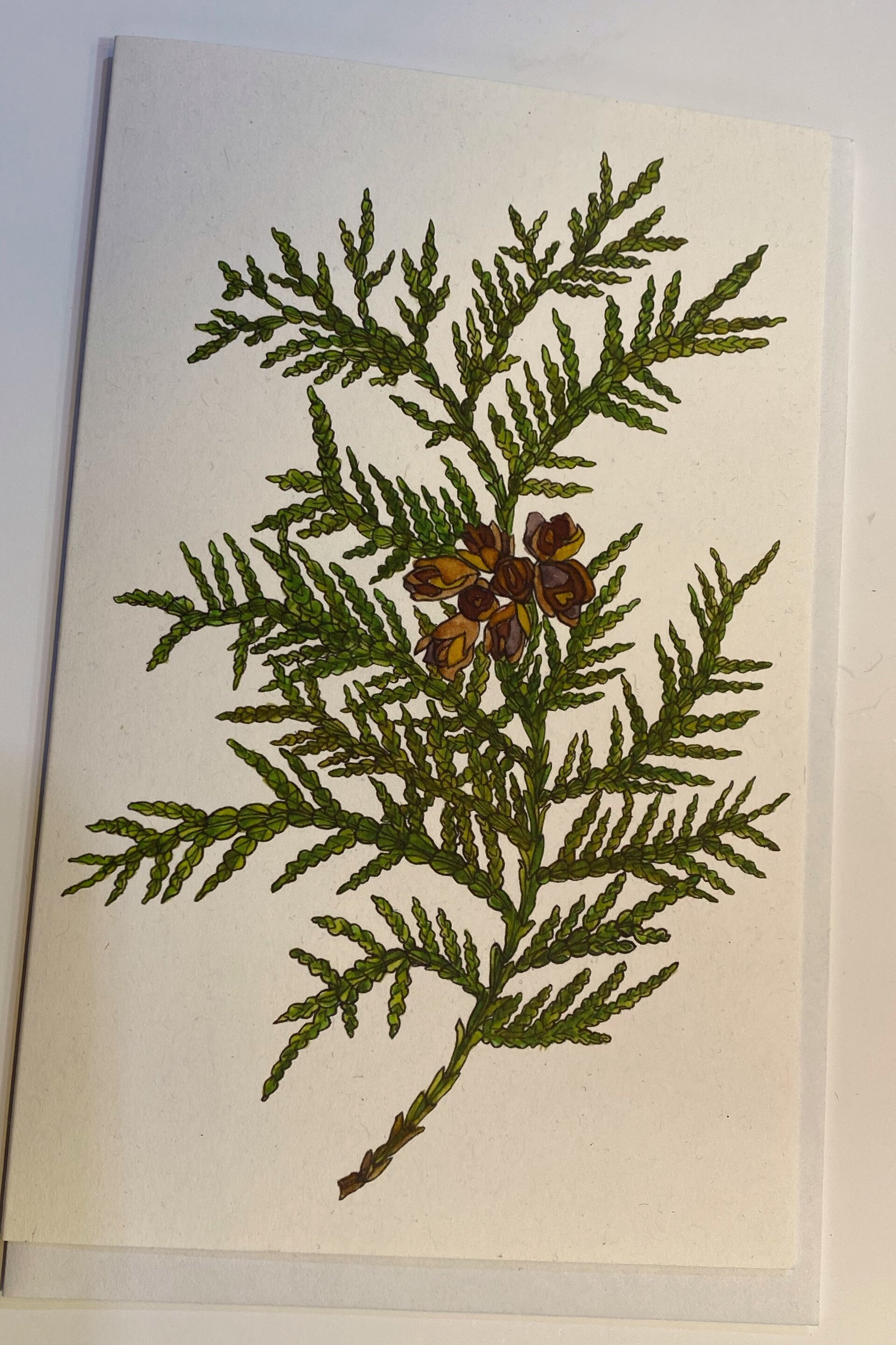 CARD WITH EVERGREEN SCENE #1