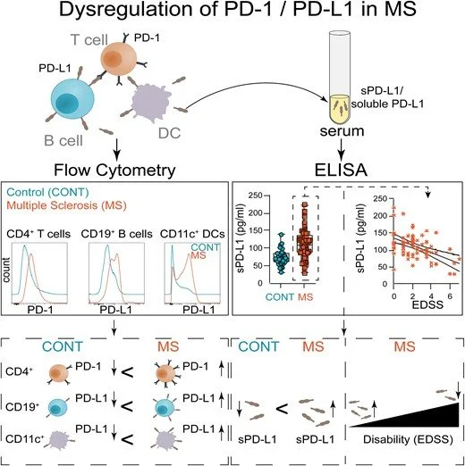 New Article published!