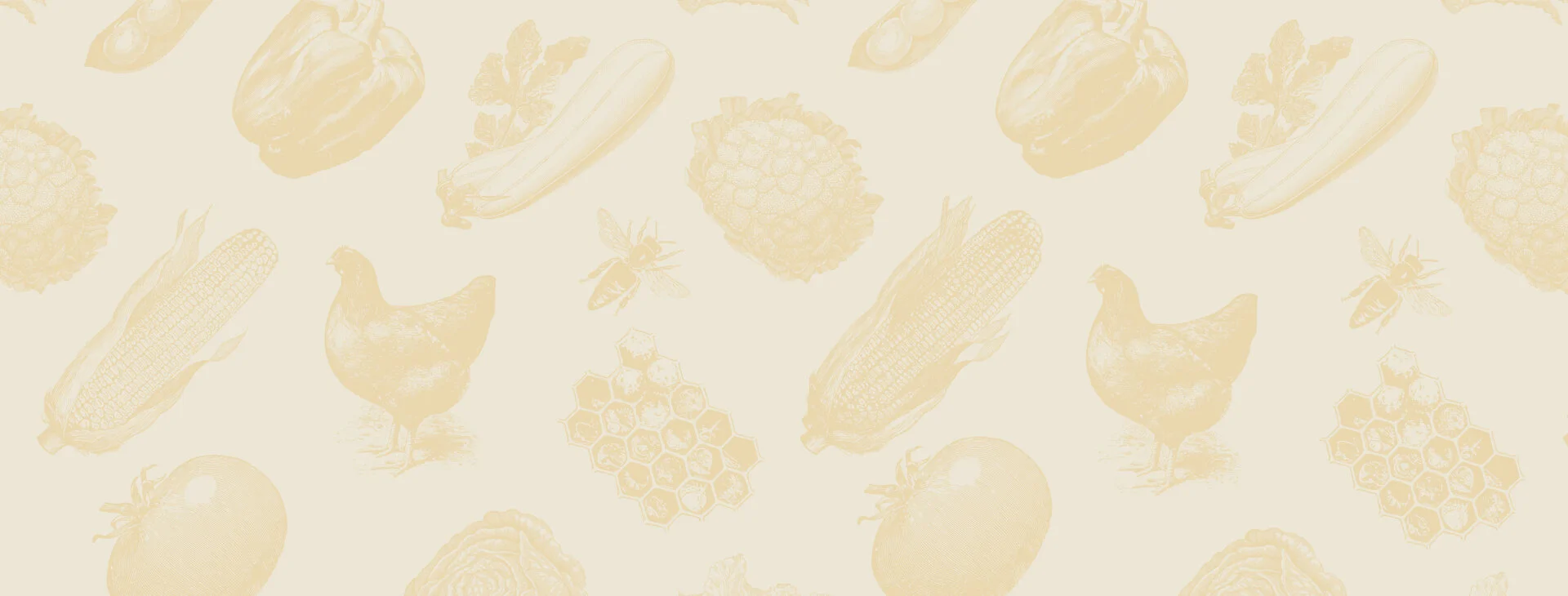 main-banner.jpg