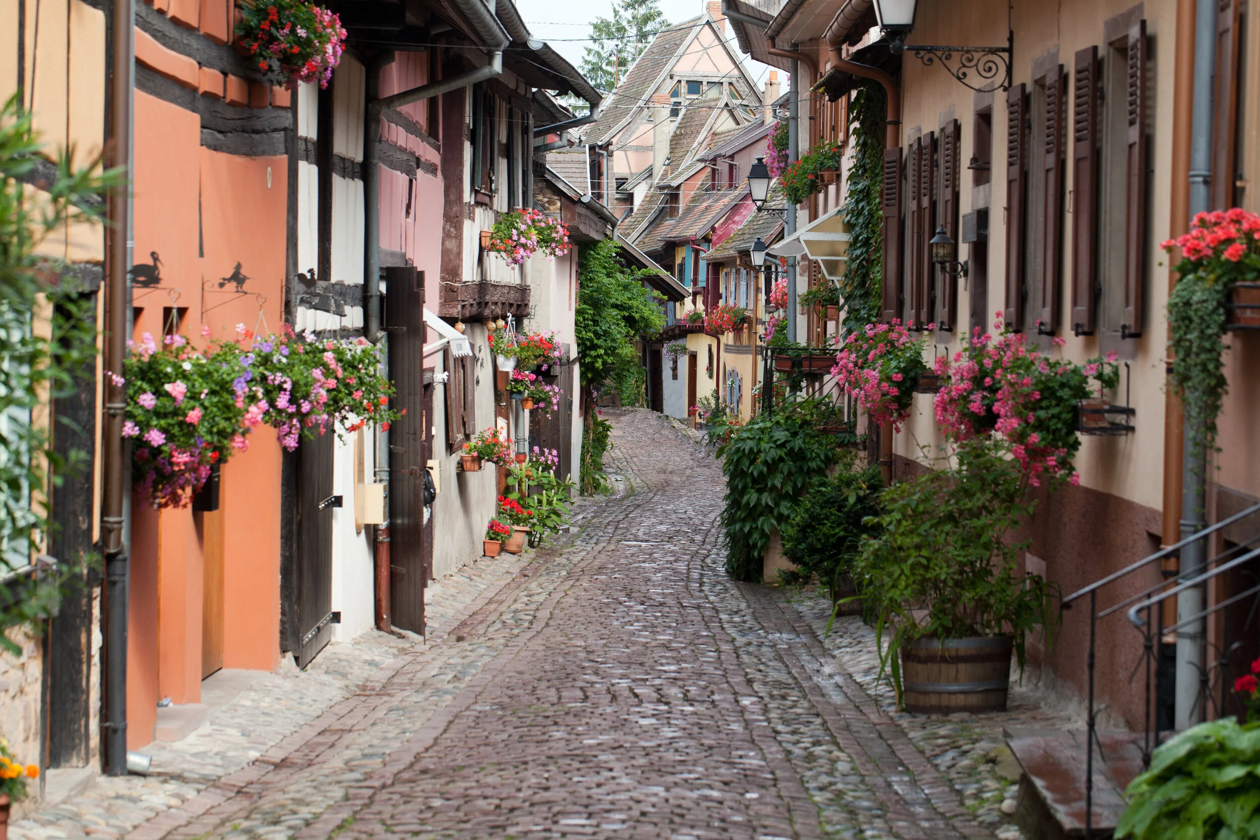 Molinari Travel luxury travel expert blog.jpg