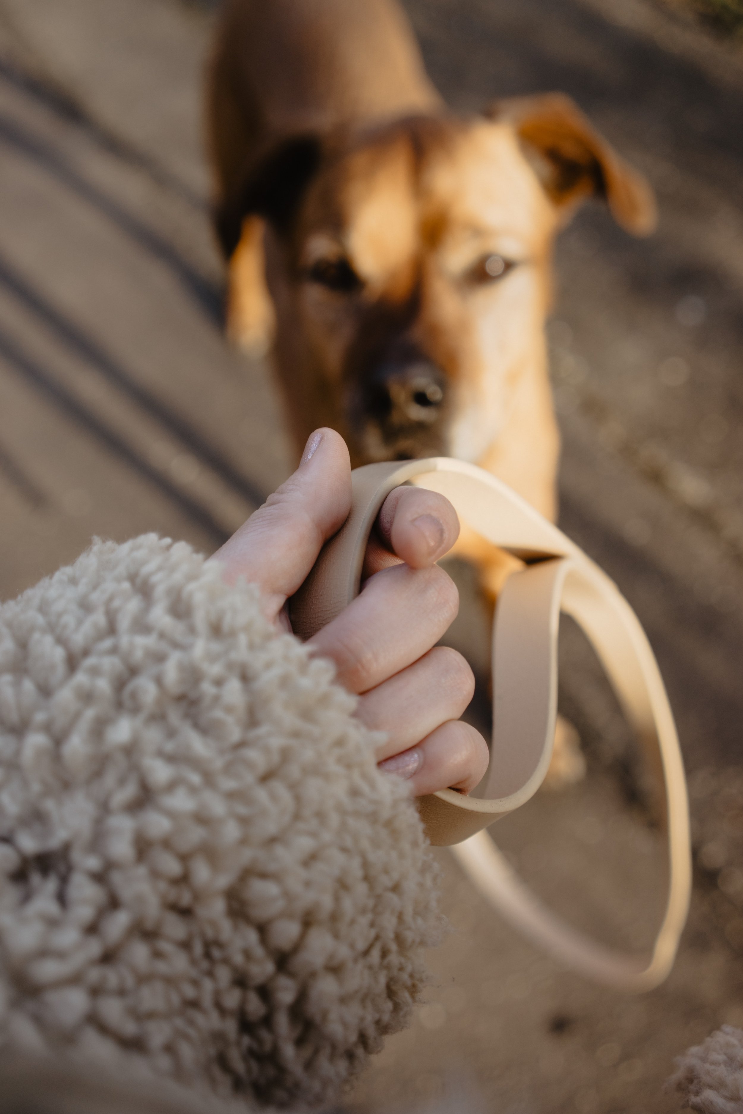 ruby-schmank-Shj4wpM54ww-unsplash.jpeg