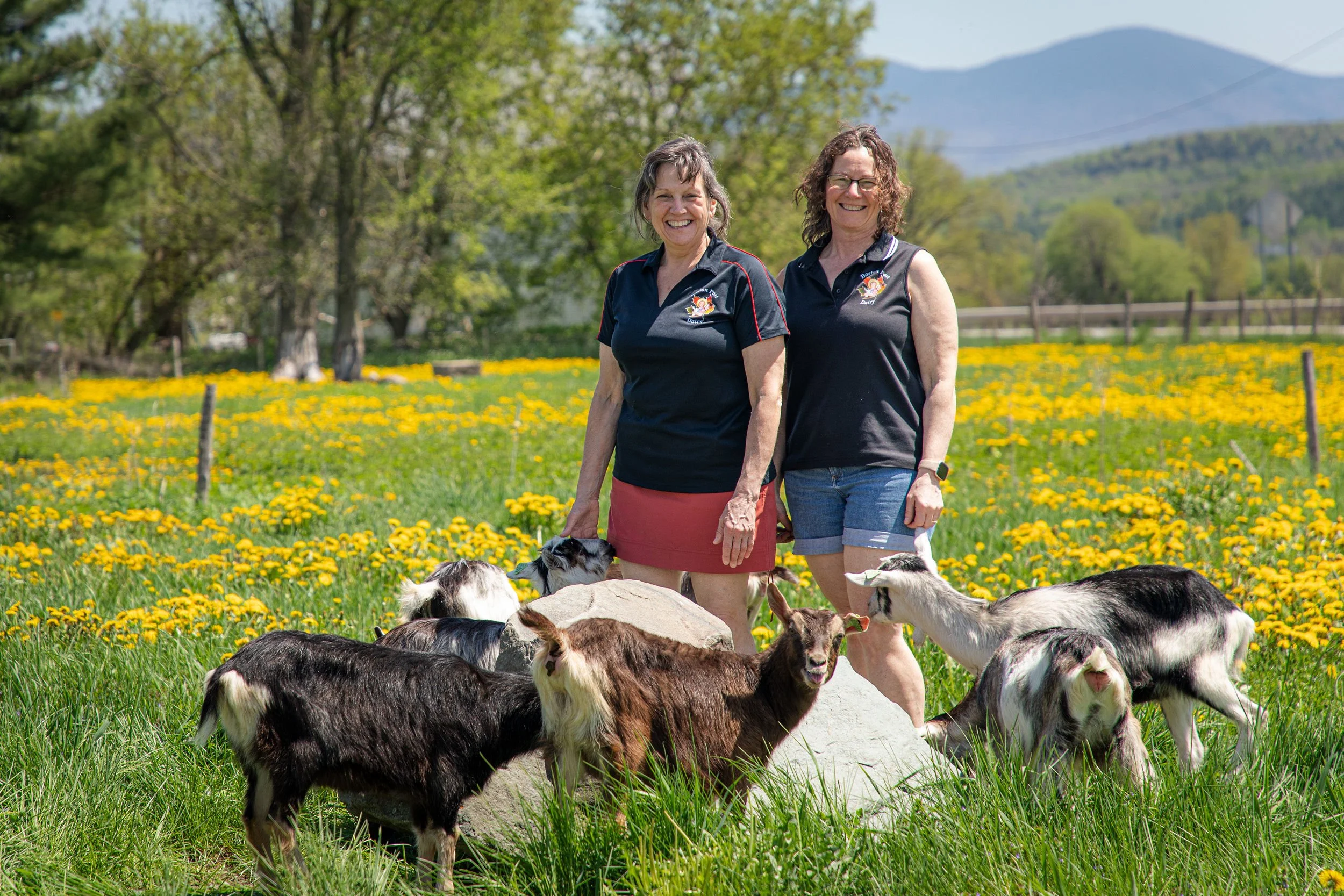 Two women surrounded by several goats in a field of long grass and yellow flowers