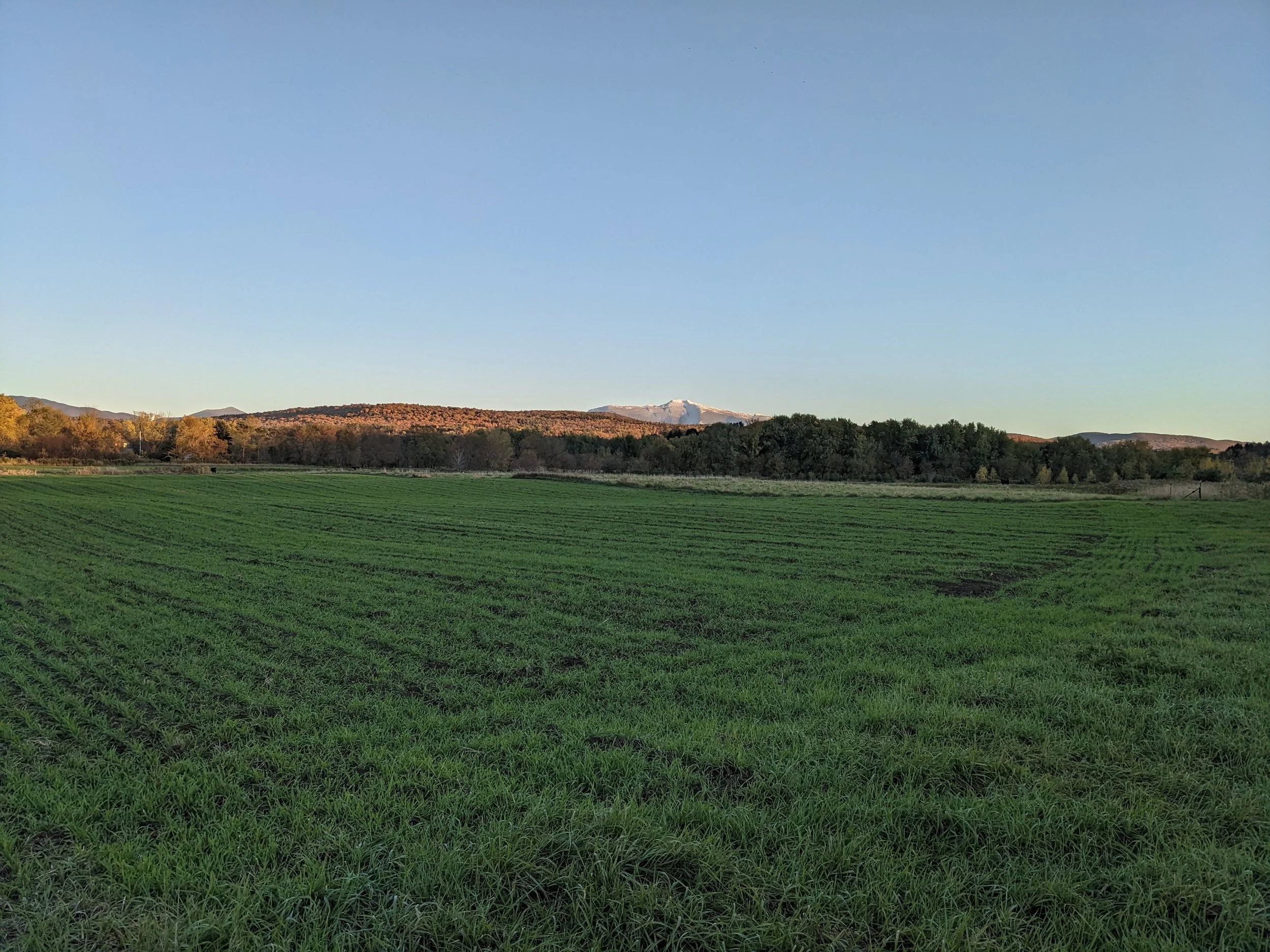 PXL_20241017_213942593 - Malachi Witt.jpg