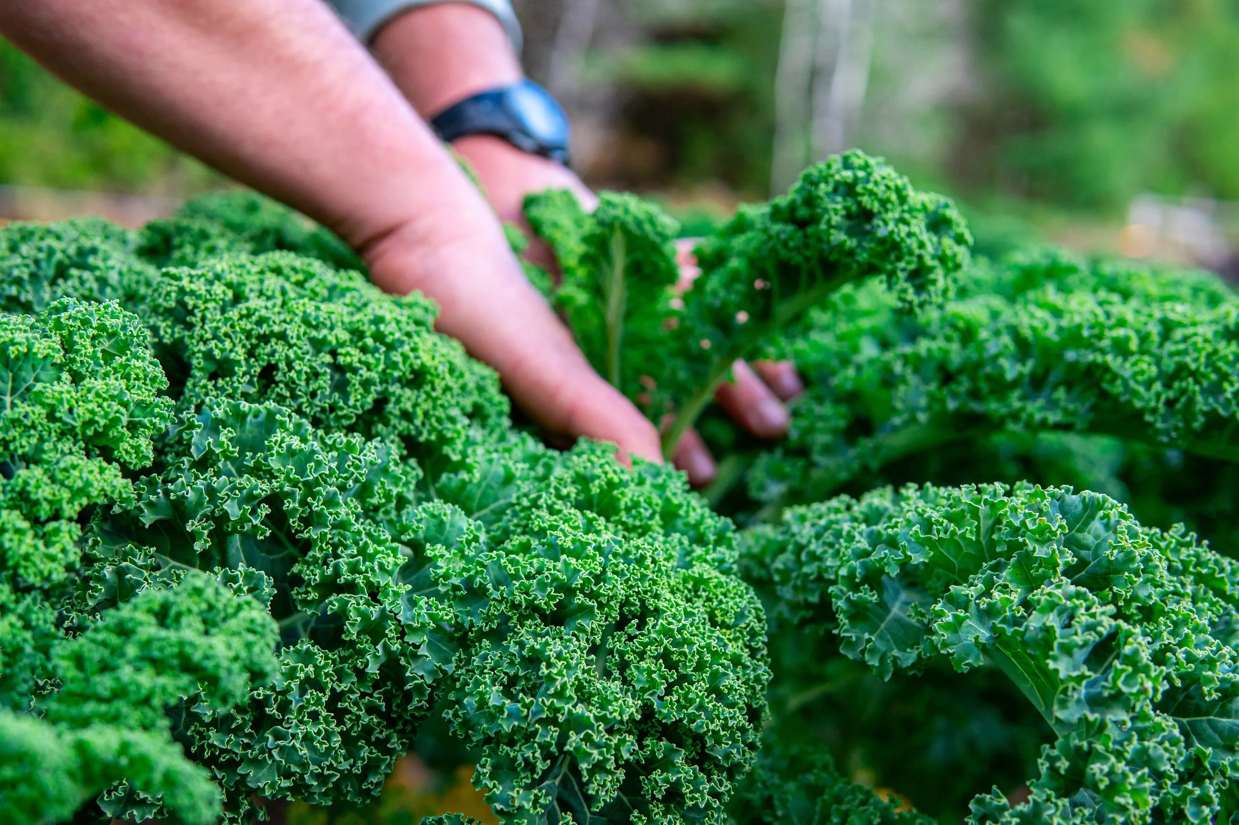 DSC03889 (1) - Malachi Witt.jpg