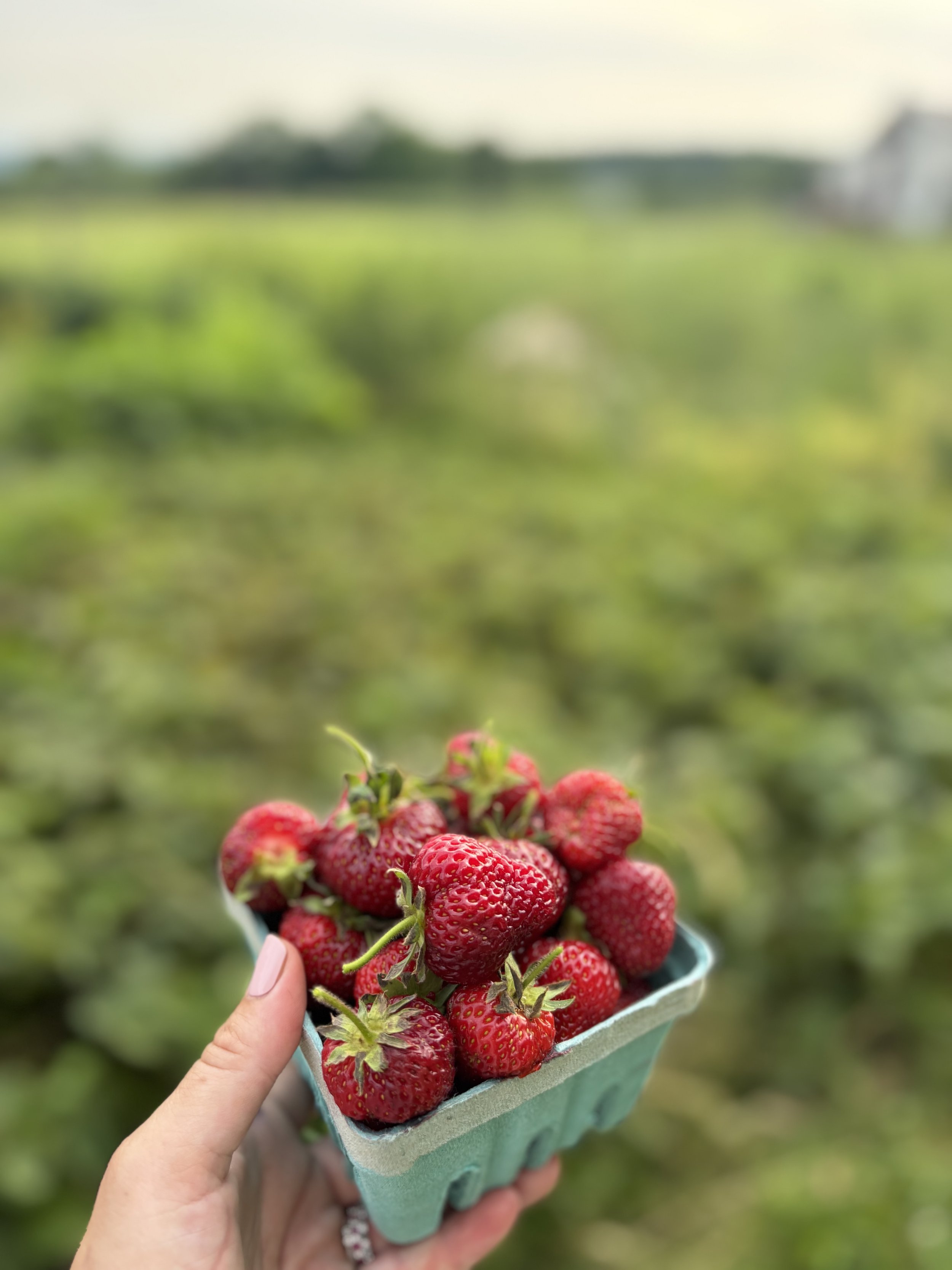 IMG_6670 - Hayden & Stephanie Lessor.jpeg